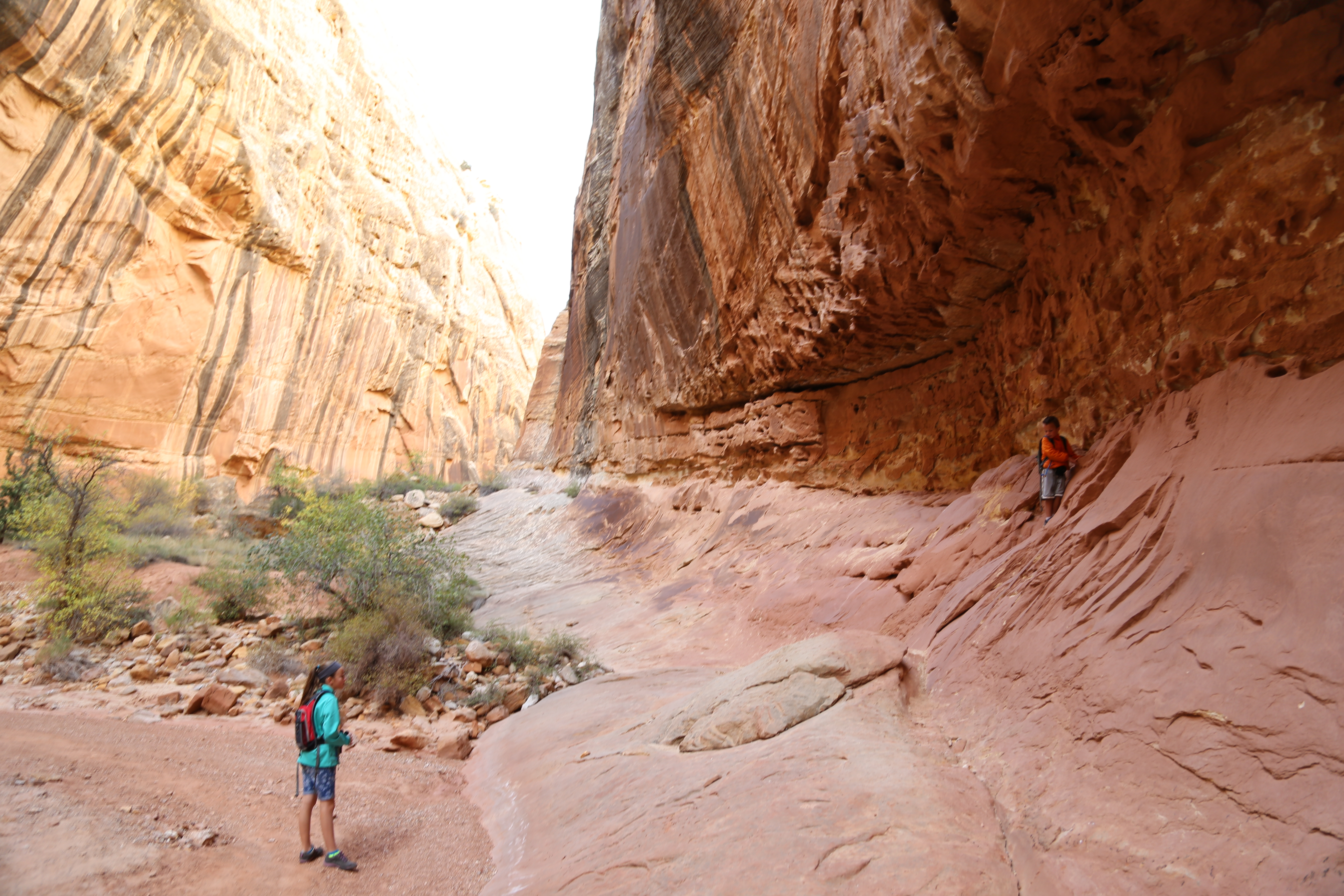 2015 Fall Break - Day 2 - Capitol Reef National Park (Grand Wash Narrows, Capitol Gorge (Petroglyphs, Narrows, Pioneer Register), Waterpocket Fold Drive (Notom-Bullfrog Road, Burr Trail Road), Hell's Backbone Grill (Boulder, Utah))