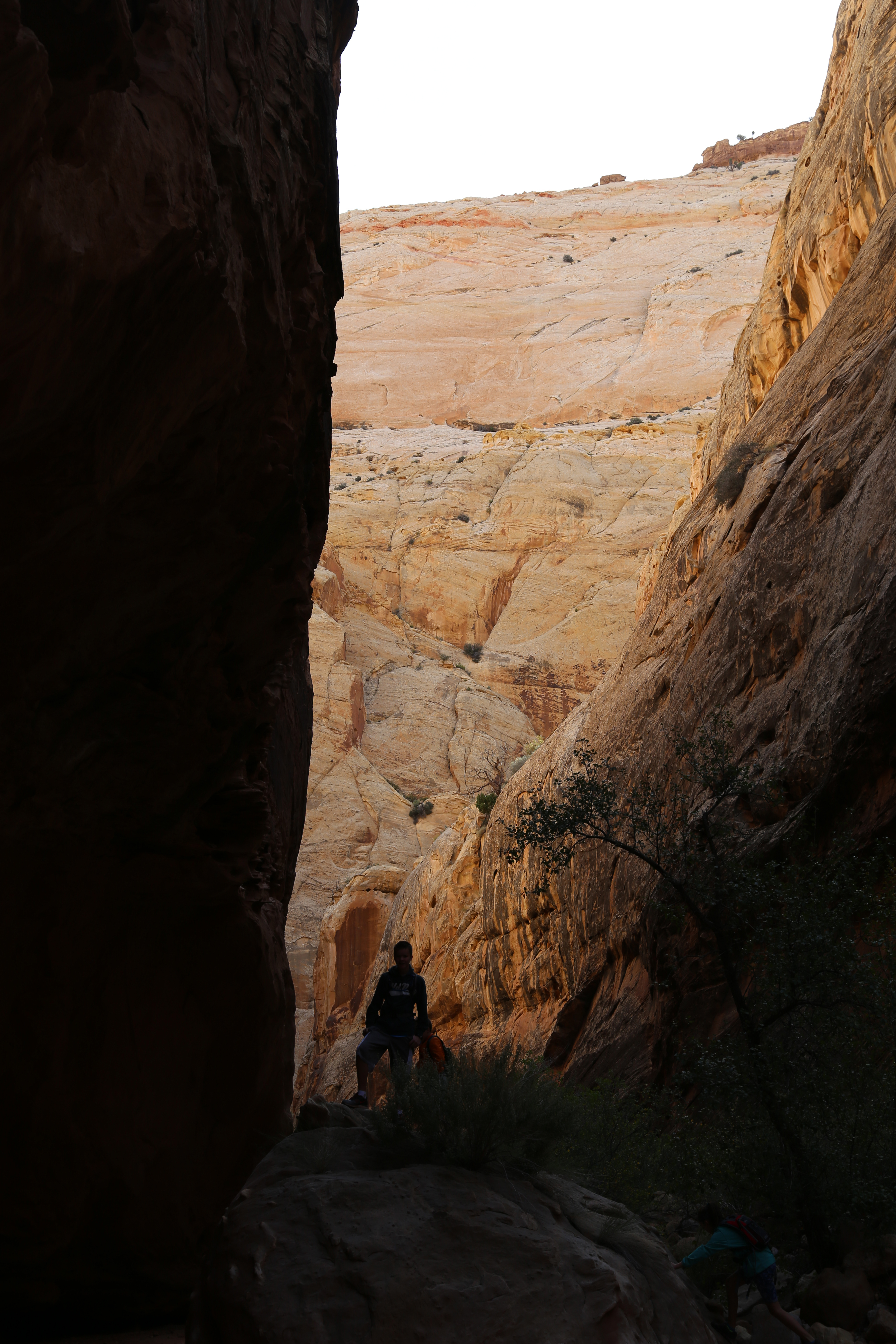 2015 Fall Break - Day 2 - Capitol Reef National Park (Grand Wash Narrows, Capitol Gorge (Petroglyphs, Narrows, Pioneer Register), Waterpocket Fold Drive (Notom-Bullfrog Road, Burr Trail Road), Hell's Backbone Grill (Boulder, Utah))