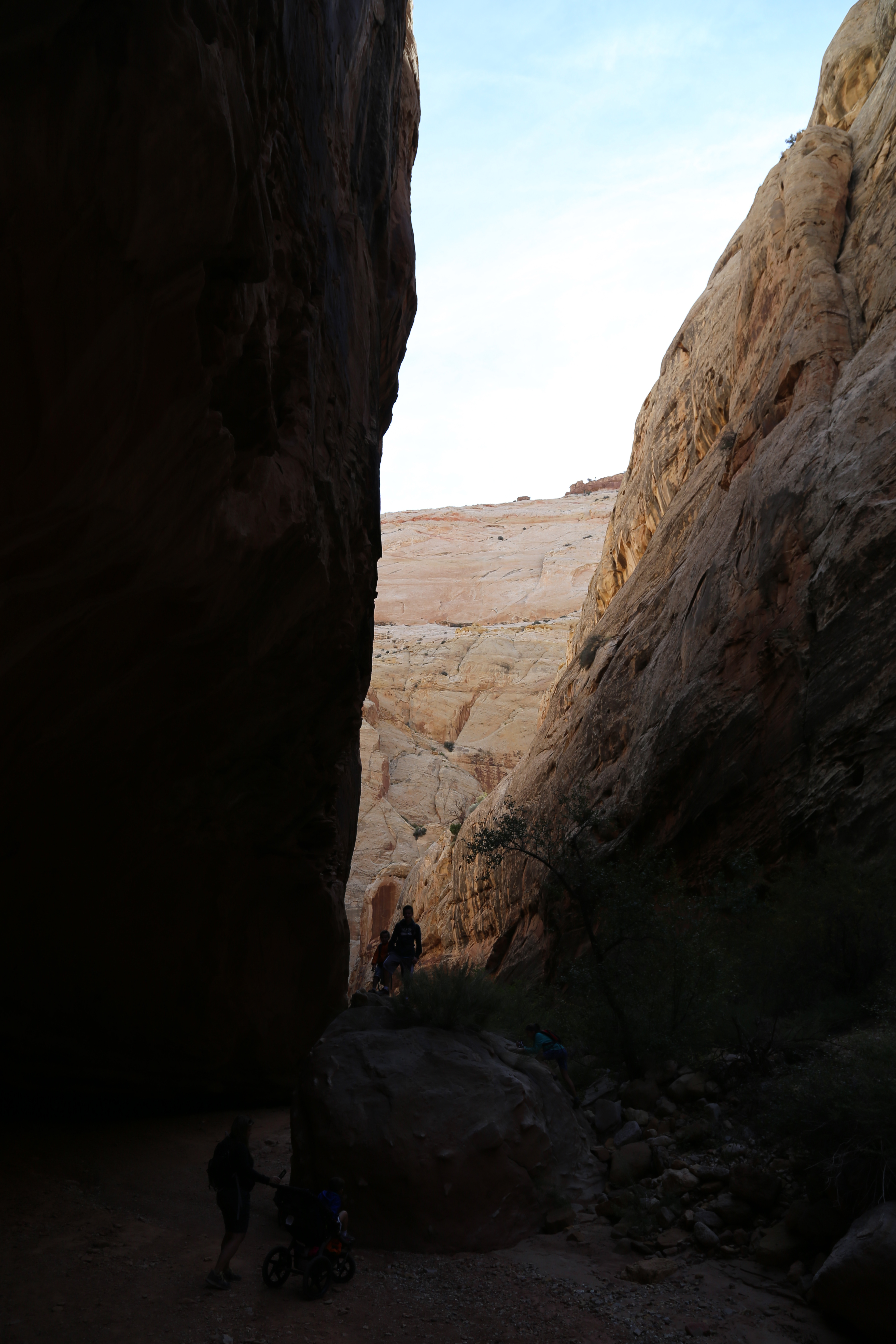 2015 Fall Break - Day 2 - Capitol Reef National Park (Grand Wash Narrows, Capitol Gorge (Petroglyphs, Narrows, Pioneer Register), Waterpocket Fold Drive (Notom-Bullfrog Road, Burr Trail Road), Hell's Backbone Grill (Boulder, Utah))