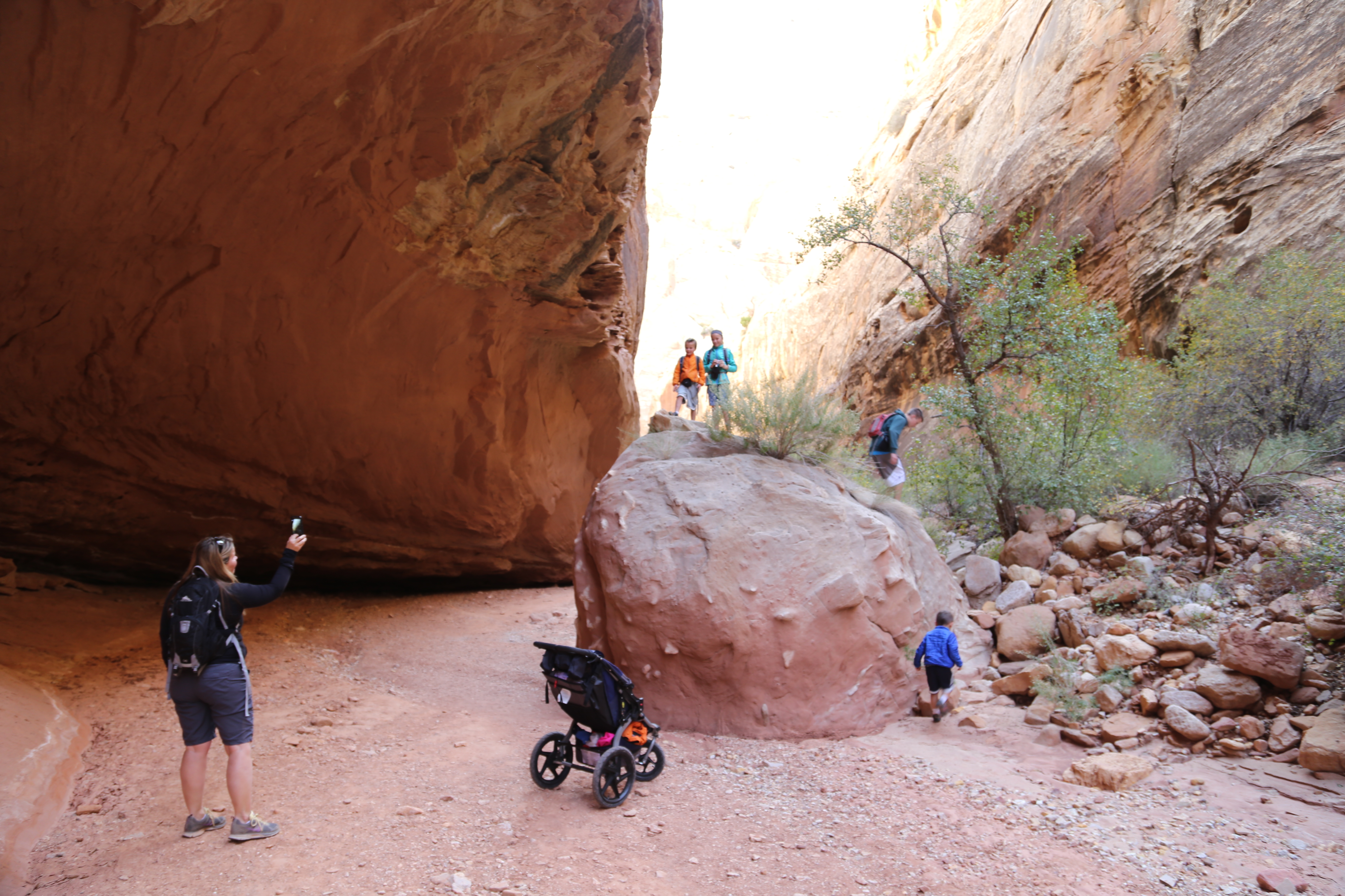 2015 Fall Break - Day 2 - Capitol Reef National Park (Grand Wash Narrows, Capitol Gorge (Petroglyphs, Narrows, Pioneer Register), Waterpocket Fold Drive (Notom-Bullfrog Road, Burr Trail Road), Hell's Backbone Grill (Boulder, Utah))