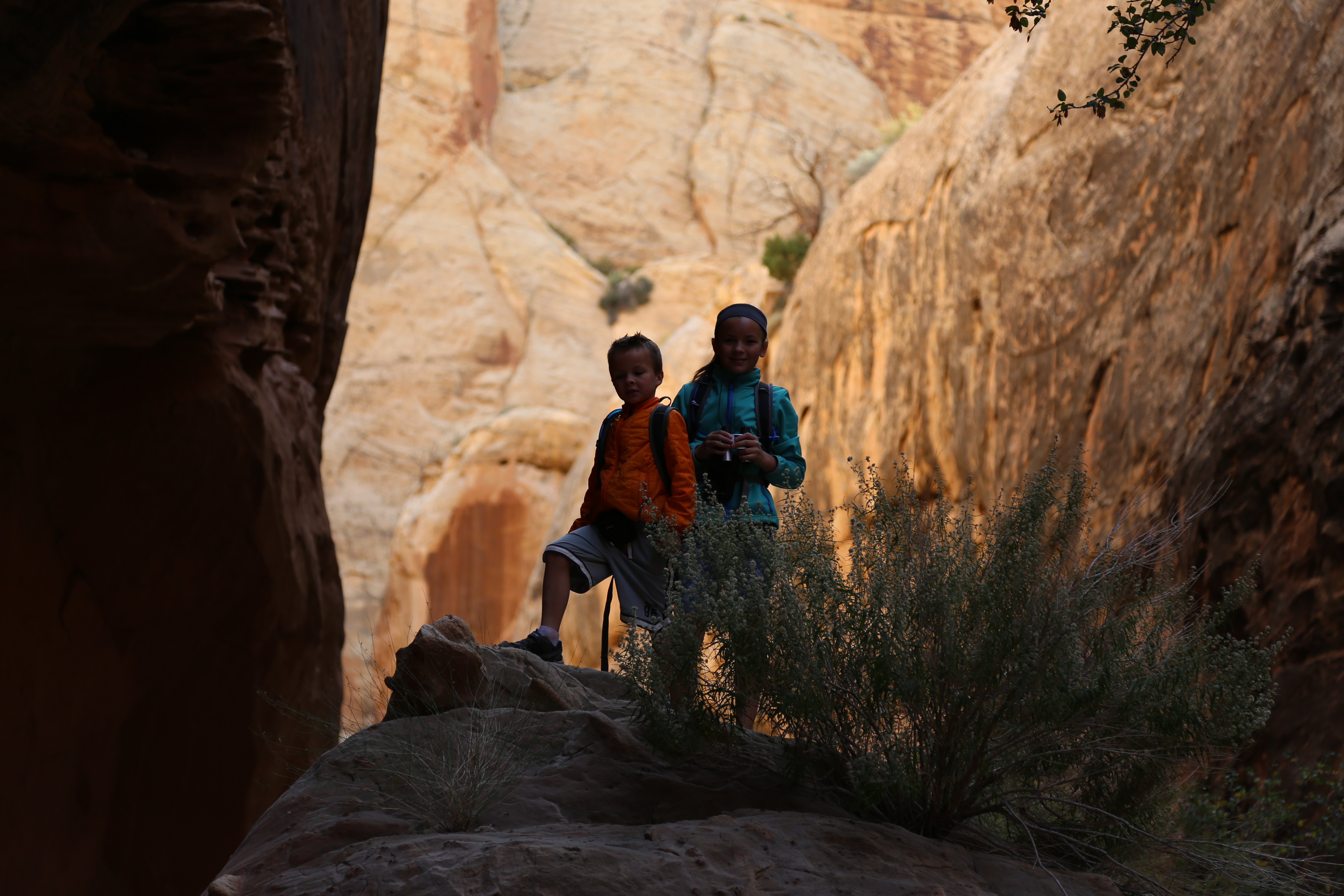 2015 Fall Break - Day 2 - Capitol Reef National Park (Grand Wash Narrows, Capitol Gorge (Petroglyphs, Narrows, Pioneer Register), Waterpocket Fold Drive (Notom-Bullfrog Road, Burr Trail Road), Hell's Backbone Grill (Boulder, Utah))