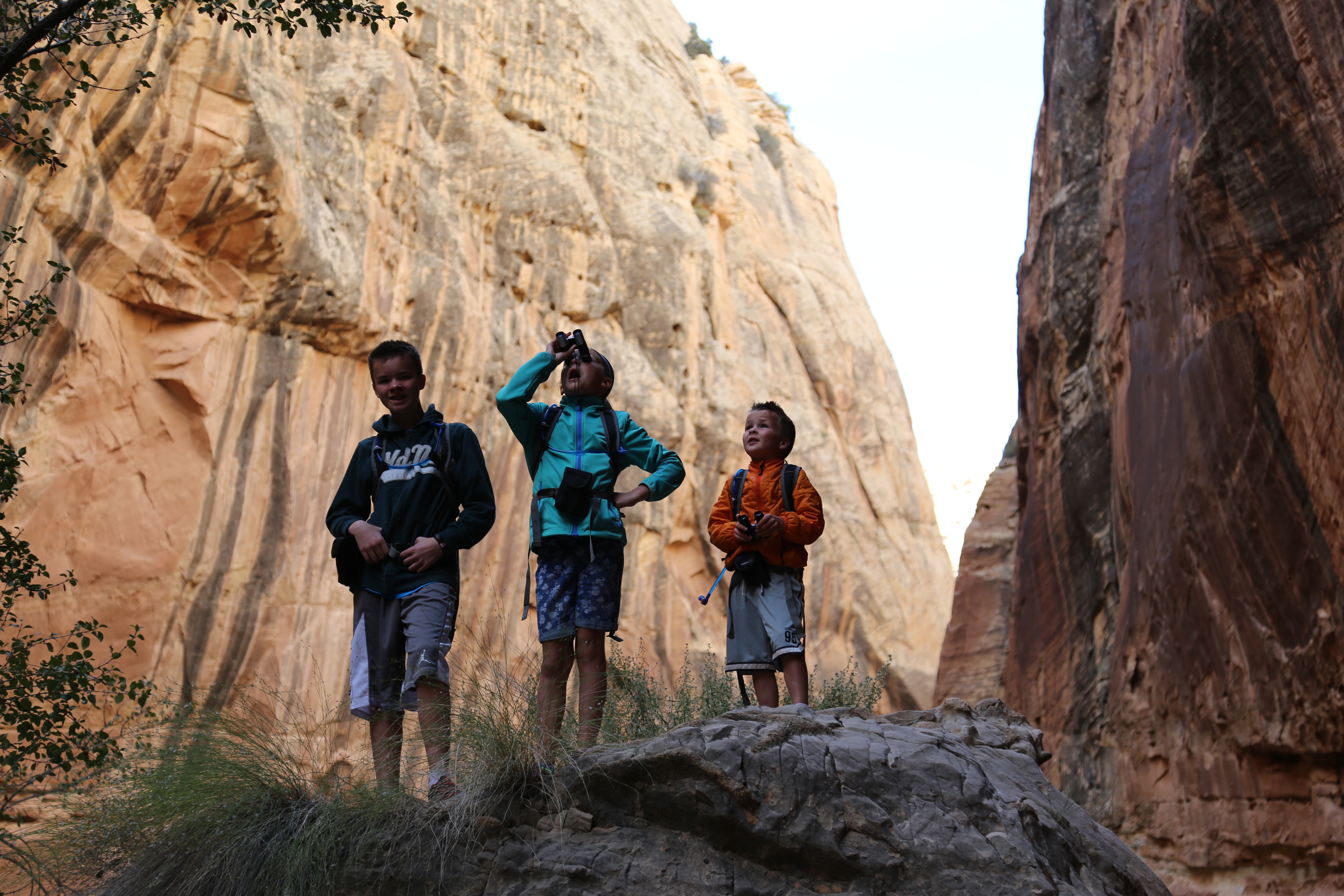 2015 Fall Break - Day 2 - Capitol Reef National Park (Grand Wash Narrows, Capitol Gorge (Petroglyphs, Narrows, Pioneer Register), Waterpocket Fold Drive (Notom-Bullfrog Road, Burr Trail Road), Hell's Backbone Grill (Boulder, Utah))