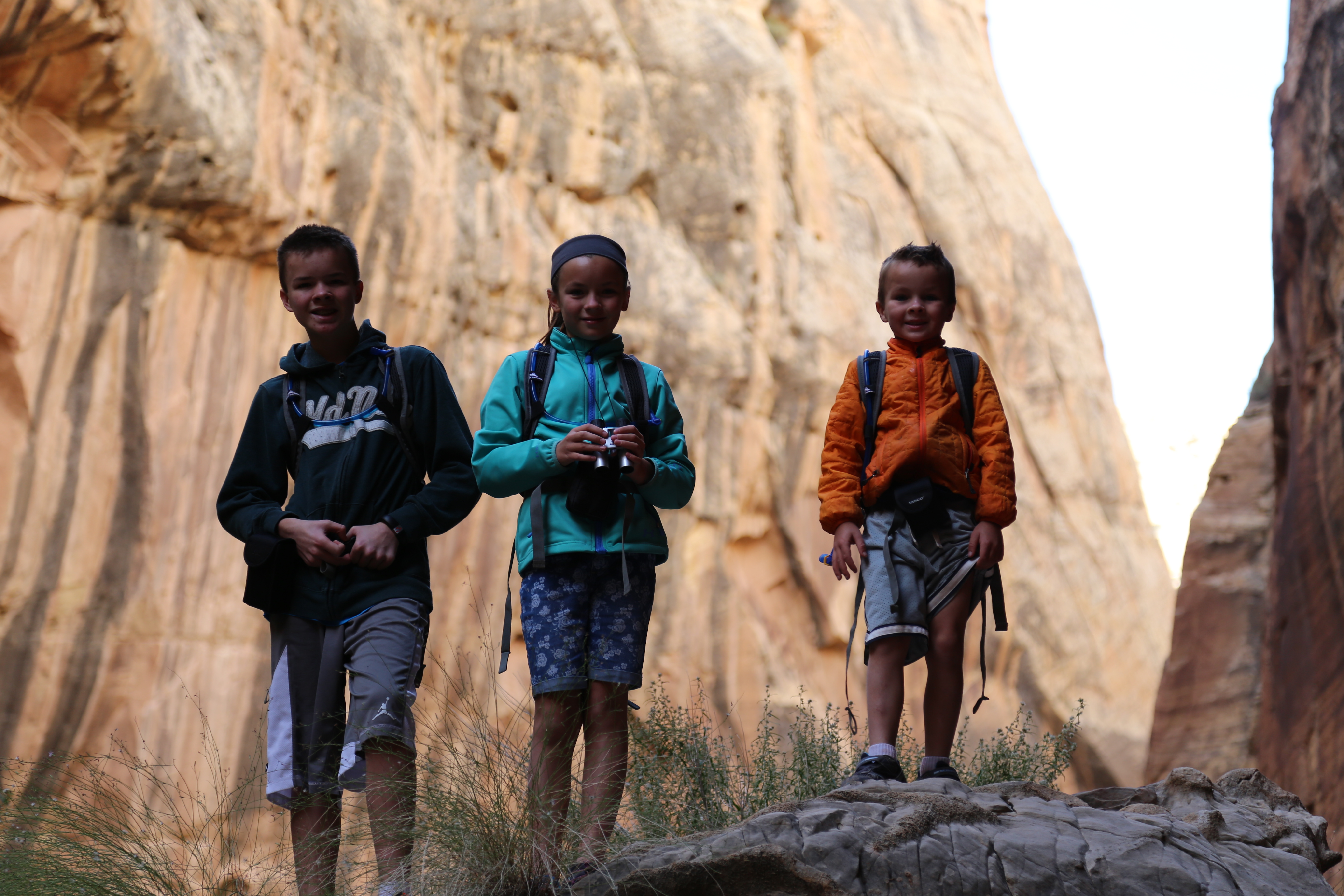 2015 Fall Break - Day 2 - Capitol Reef National Park (Grand Wash Narrows, Capitol Gorge (Petroglyphs, Narrows, Pioneer Register), Waterpocket Fold Drive (Notom-Bullfrog Road, Burr Trail Road), Hell's Backbone Grill (Boulder, Utah))