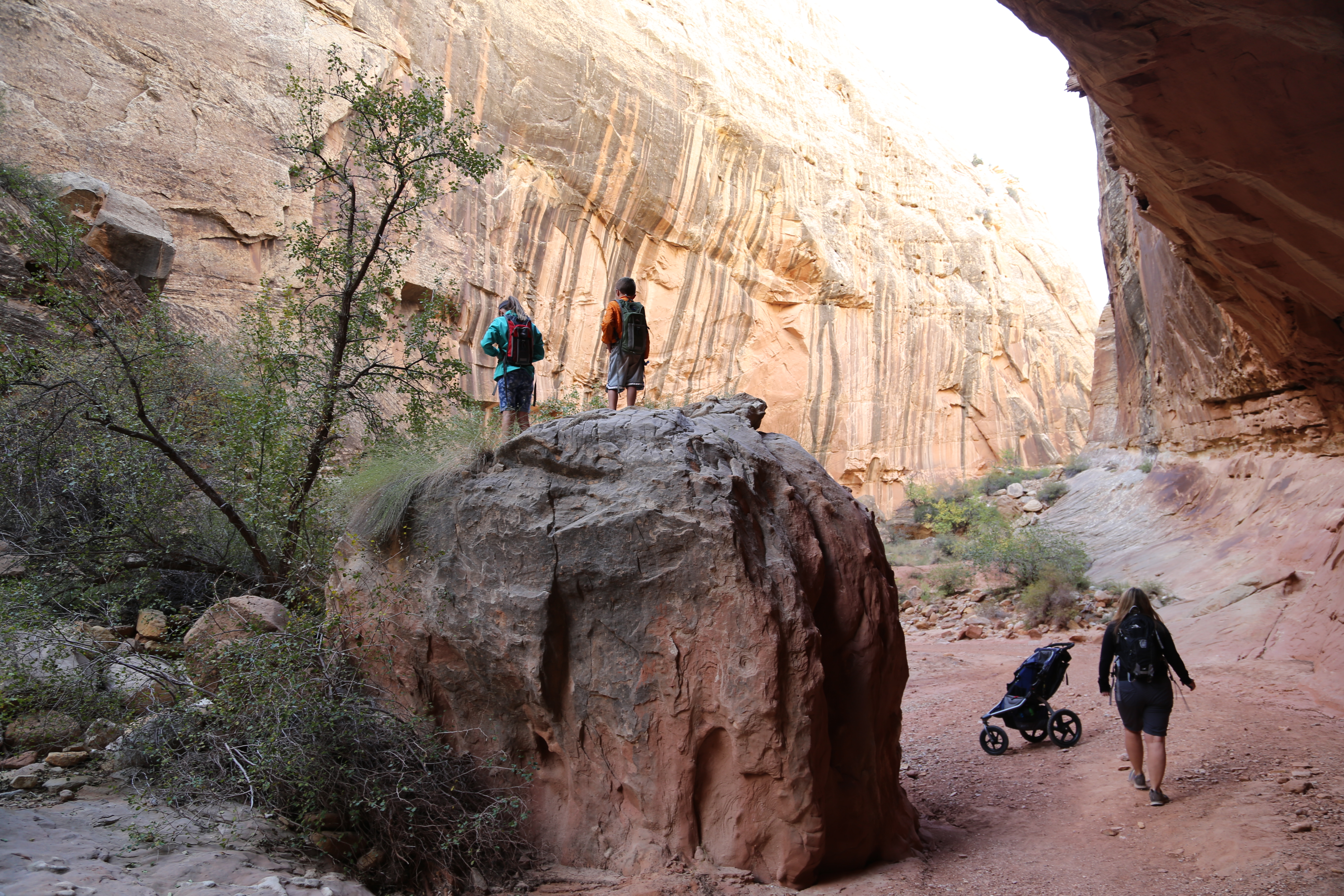 2015 Fall Break - Day 2 - Capitol Reef National Park (Grand Wash Narrows, Capitol Gorge (Petroglyphs, Narrows, Pioneer Register), Waterpocket Fold Drive (Notom-Bullfrog Road, Burr Trail Road), Hell's Backbone Grill (Boulder, Utah))