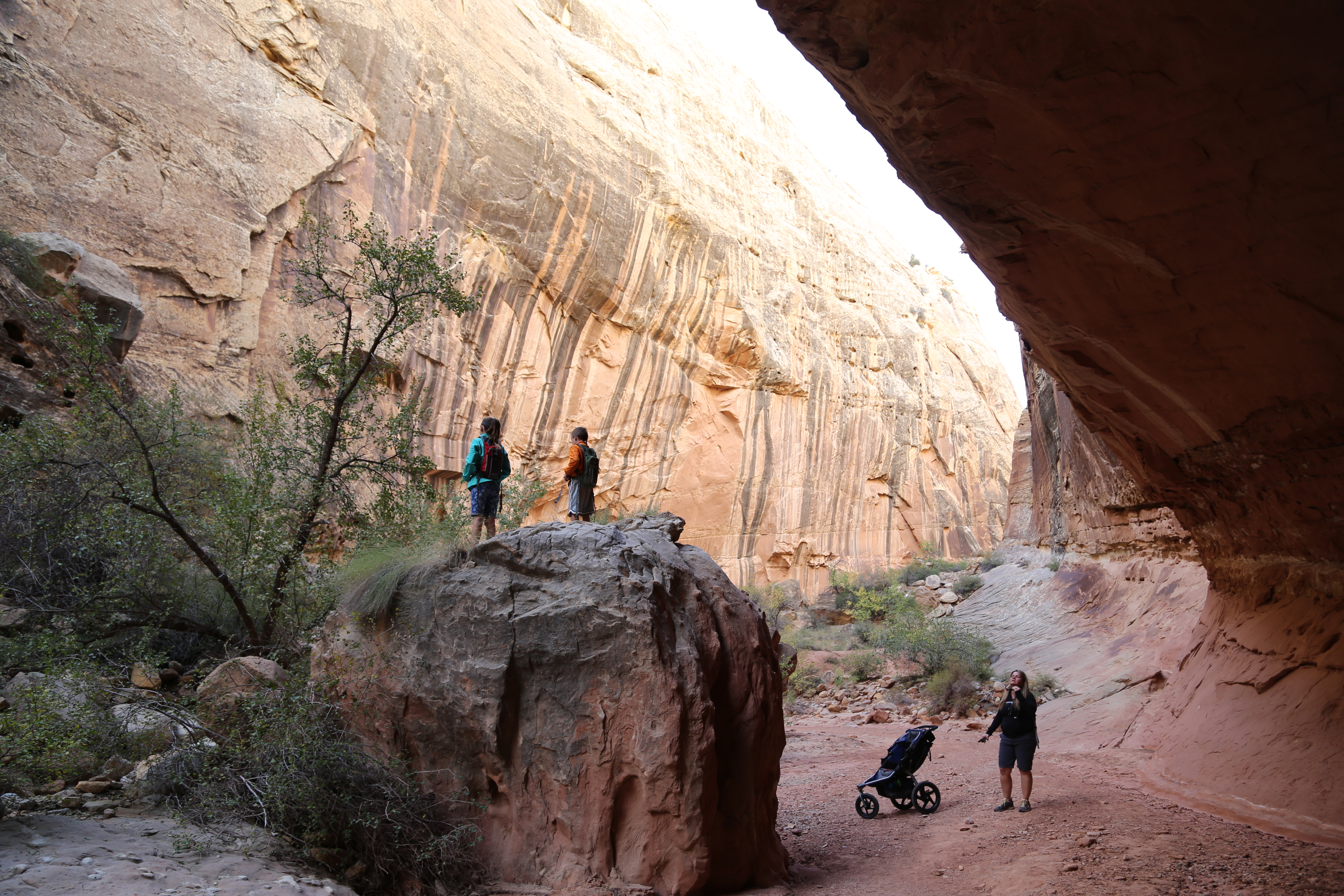 2015 Fall Break - Day 2 - Capitol Reef National Park (Grand Wash Narrows, Capitol Gorge (Petroglyphs, Narrows, Pioneer Register), Waterpocket Fold Drive (Notom-Bullfrog Road, Burr Trail Road), Hell's Backbone Grill (Boulder, Utah))