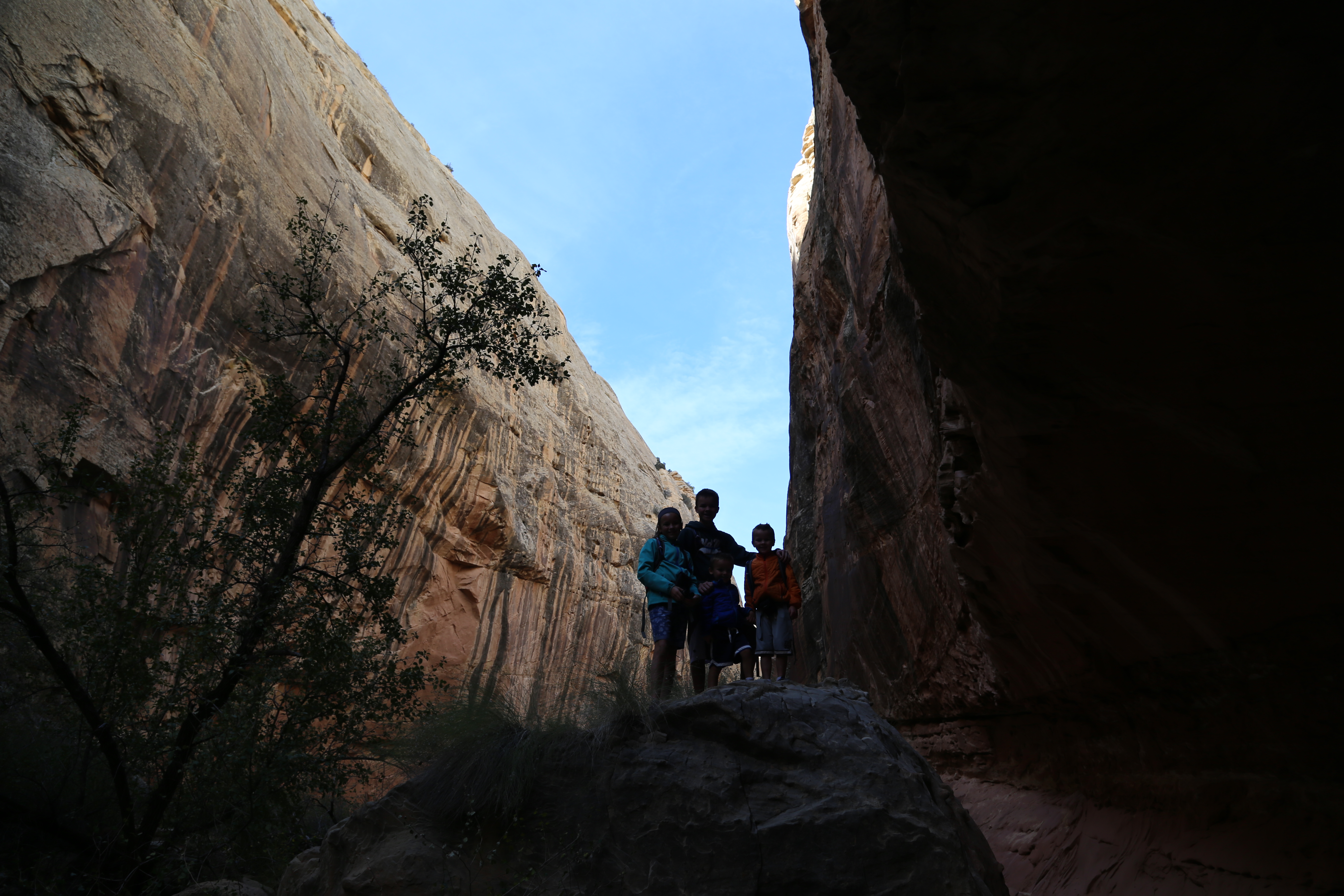 2015 Fall Break - Day 2 - Capitol Reef National Park (Grand Wash Narrows, Capitol Gorge (Petroglyphs, Narrows, Pioneer Register), Waterpocket Fold Drive (Notom-Bullfrog Road, Burr Trail Road), Hell's Backbone Grill (Boulder, Utah))