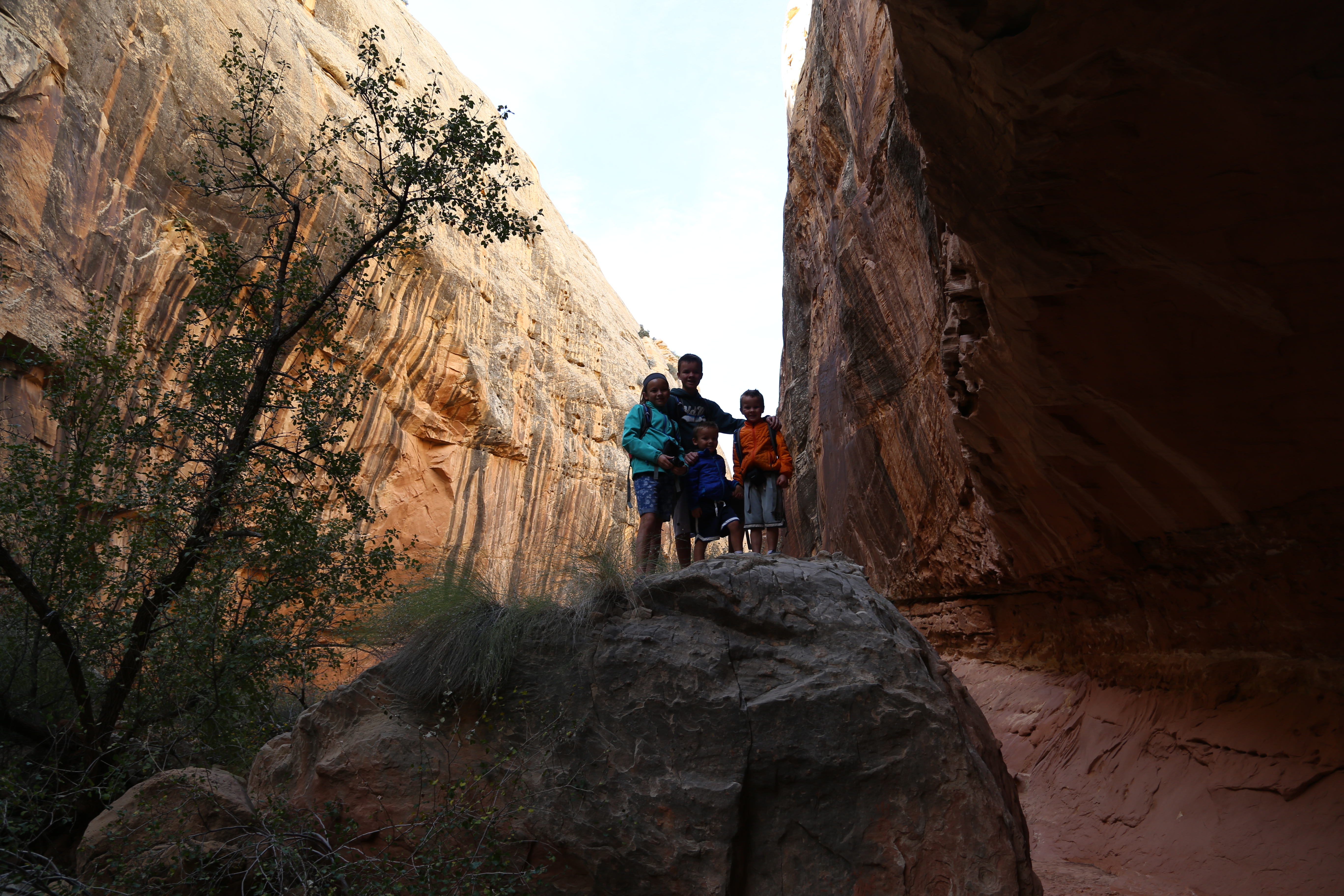 2015 Fall Break - Day 2 - Capitol Reef National Park (Grand Wash Narrows, Capitol Gorge (Petroglyphs, Narrows, Pioneer Register), Waterpocket Fold Drive (Notom-Bullfrog Road, Burr Trail Road), Hell's Backbone Grill (Boulder, Utah))