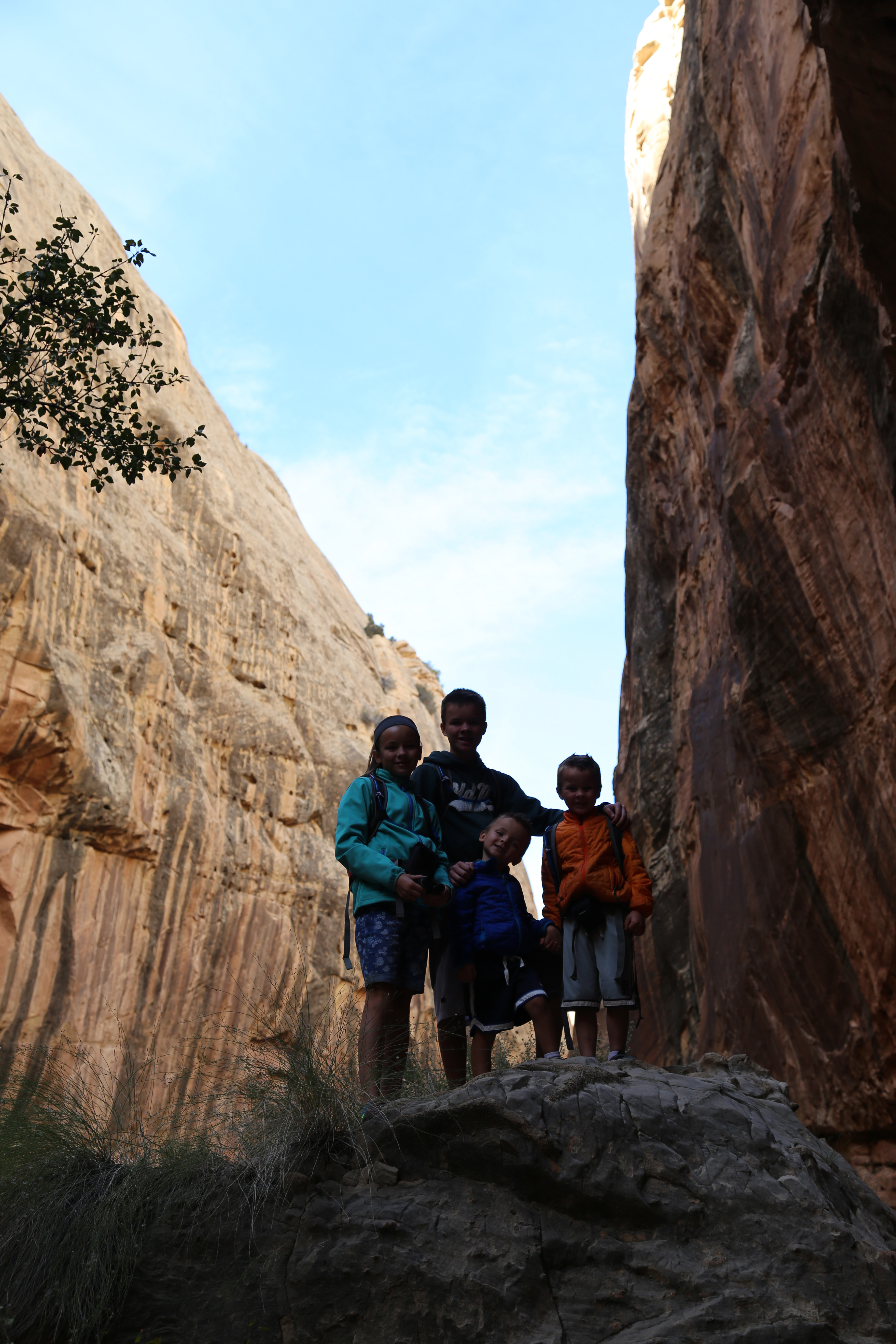 2015 Fall Break - Day 2 - Capitol Reef National Park (Grand Wash Narrows, Capitol Gorge (Petroglyphs, Narrows, Pioneer Register), Waterpocket Fold Drive (Notom-Bullfrog Road, Burr Trail Road), Hell's Backbone Grill (Boulder, Utah))