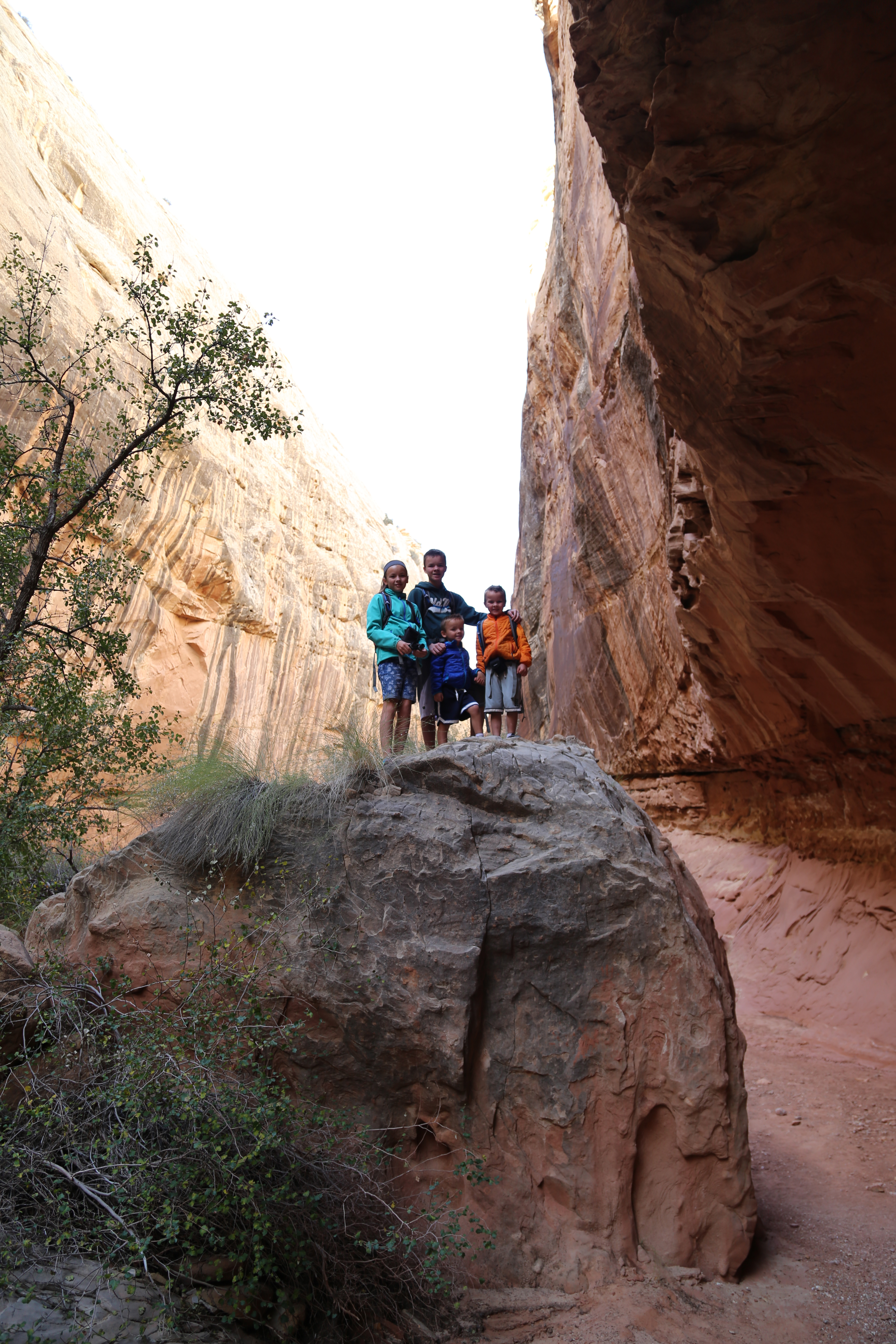 2015 Fall Break - Day 2 - Capitol Reef National Park (Grand Wash Narrows, Capitol Gorge (Petroglyphs, Narrows, Pioneer Register), Waterpocket Fold Drive (Notom-Bullfrog Road, Burr Trail Road), Hell's Backbone Grill (Boulder, Utah))