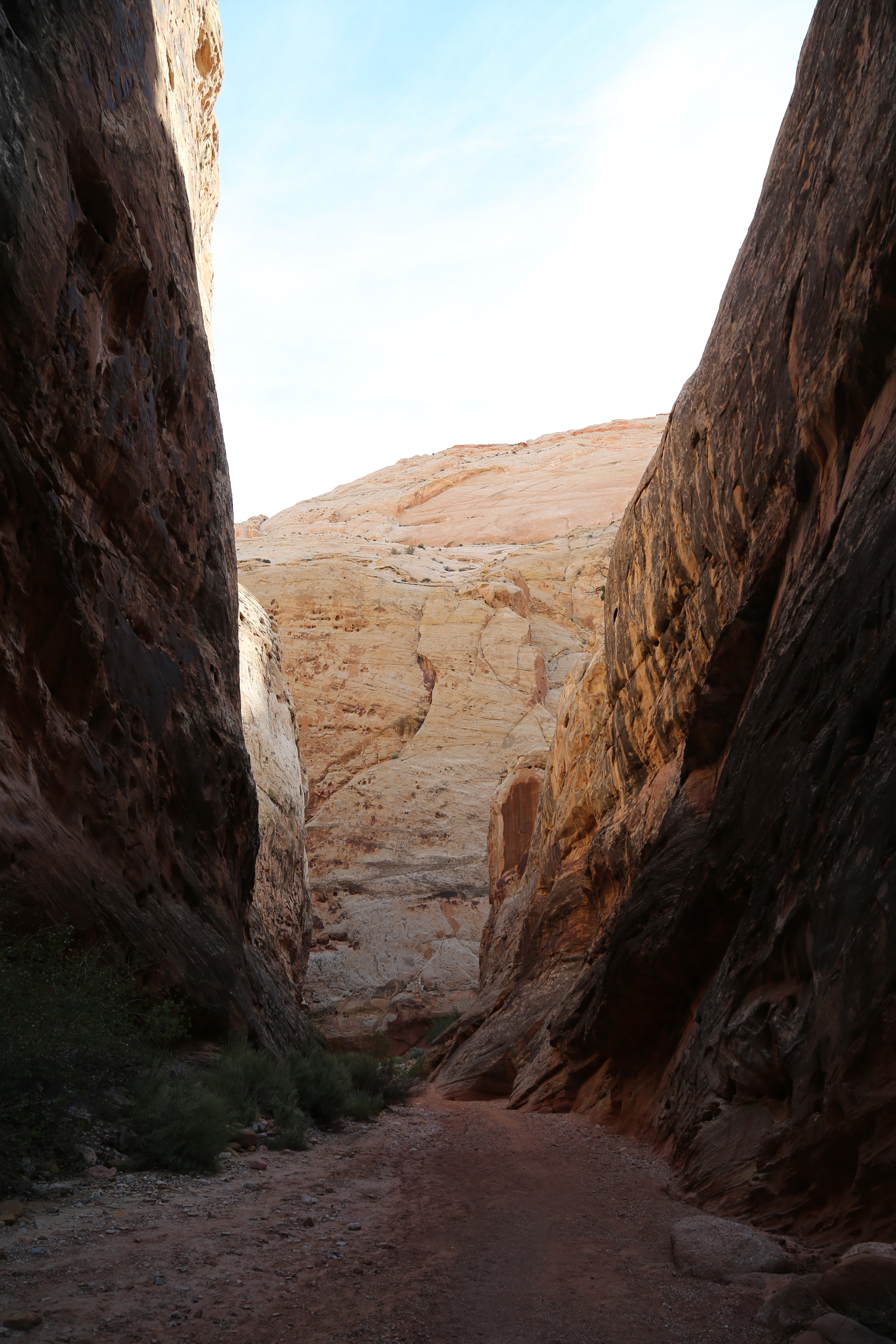 2015 Fall Break - Day 2 - Capitol Reef National Park (Grand Wash Narrows, Capitol Gorge (Petroglyphs, Narrows, Pioneer Register), Waterpocket Fold Drive (Notom-Bullfrog Road, Burr Trail Road), Hell's Backbone Grill (Boulder, Utah))