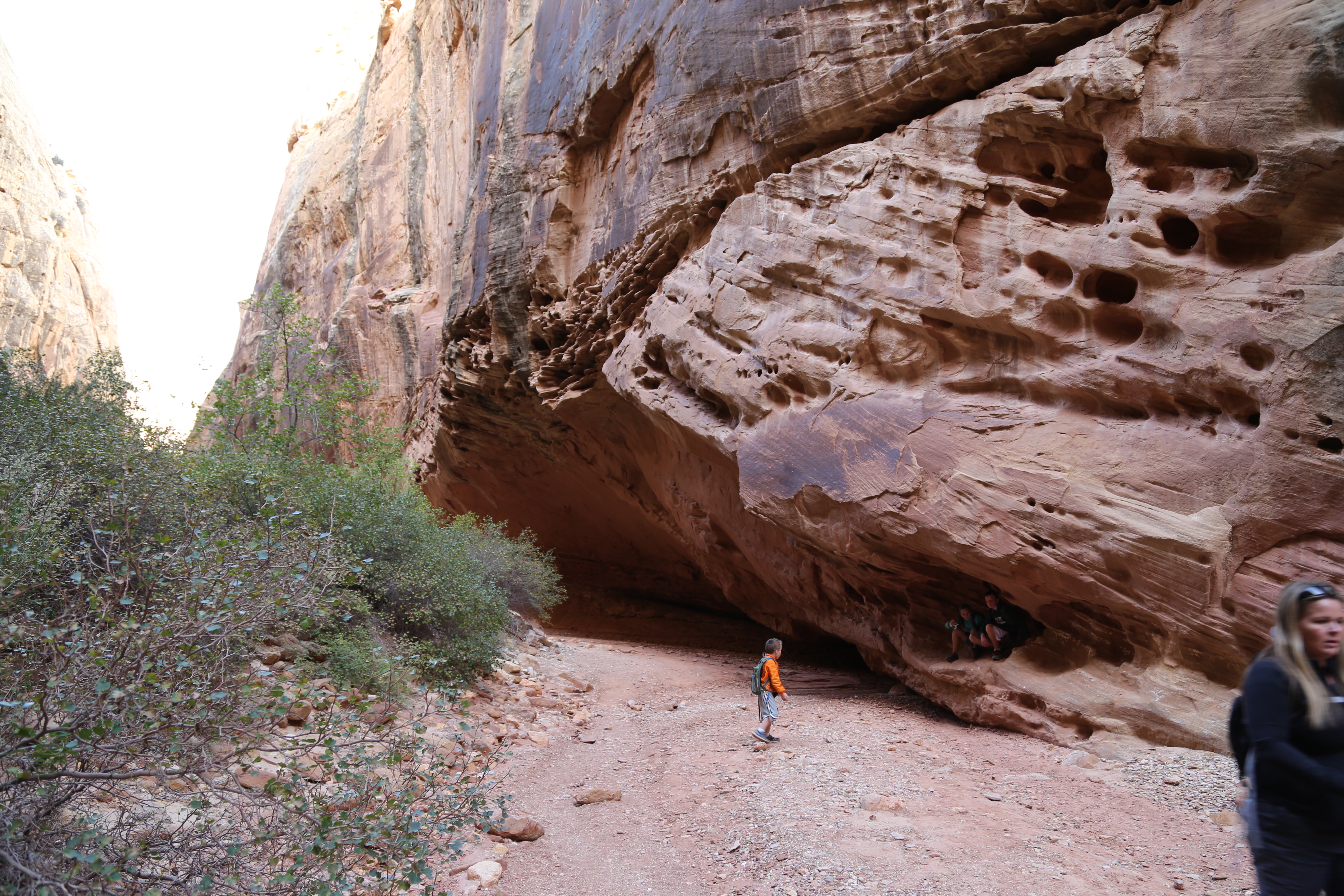 2015 Fall Break - Day 2 - Capitol Reef National Park (Grand Wash Narrows, Capitol Gorge (Petroglyphs, Narrows, Pioneer Register), Waterpocket Fold Drive (Notom-Bullfrog Road, Burr Trail Road), Hell's Backbone Grill (Boulder, Utah))