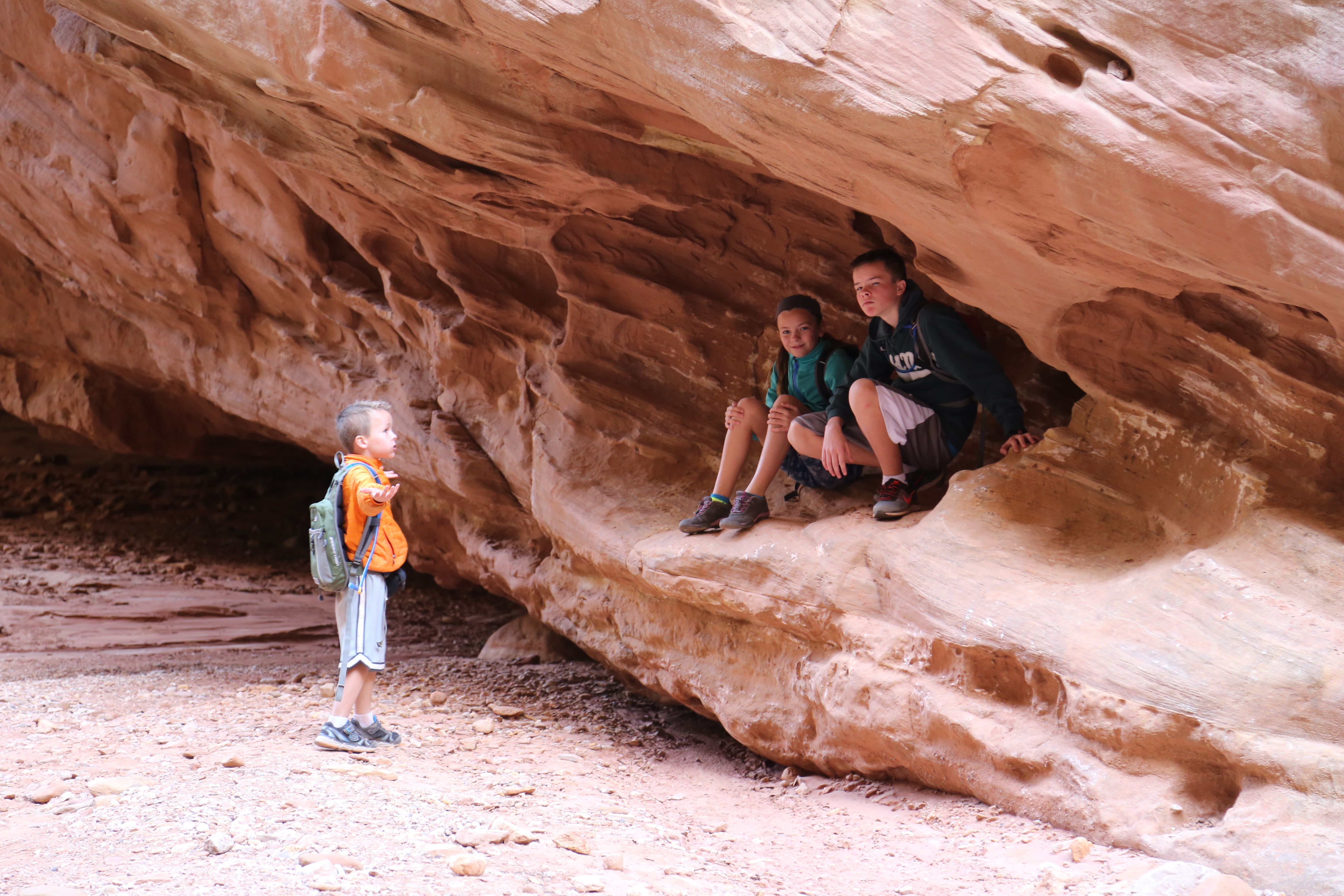 2015 Fall Break - Day 2 - Capitol Reef National Park (Grand Wash Narrows, Capitol Gorge (Petroglyphs, Narrows, Pioneer Register), Waterpocket Fold Drive (Notom-Bullfrog Road, Burr Trail Road), Hell's Backbone Grill (Boulder, Utah))