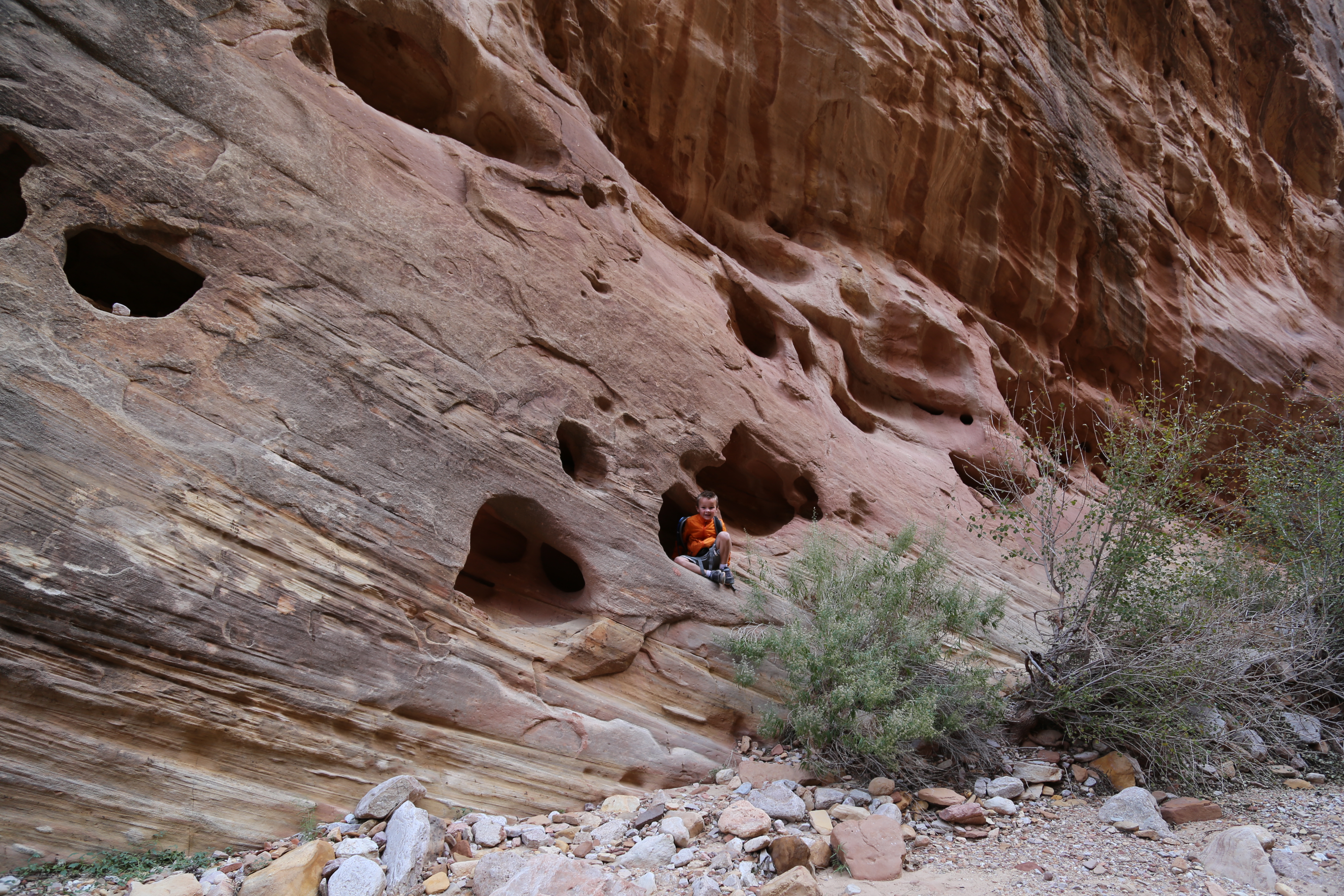 2015 Fall Break - Day 2 - Capitol Reef National Park (Grand Wash Narrows, Capitol Gorge (Petroglyphs, Narrows, Pioneer Register), Waterpocket Fold Drive (Notom-Bullfrog Road, Burr Trail Road), Hell's Backbone Grill (Boulder, Utah))