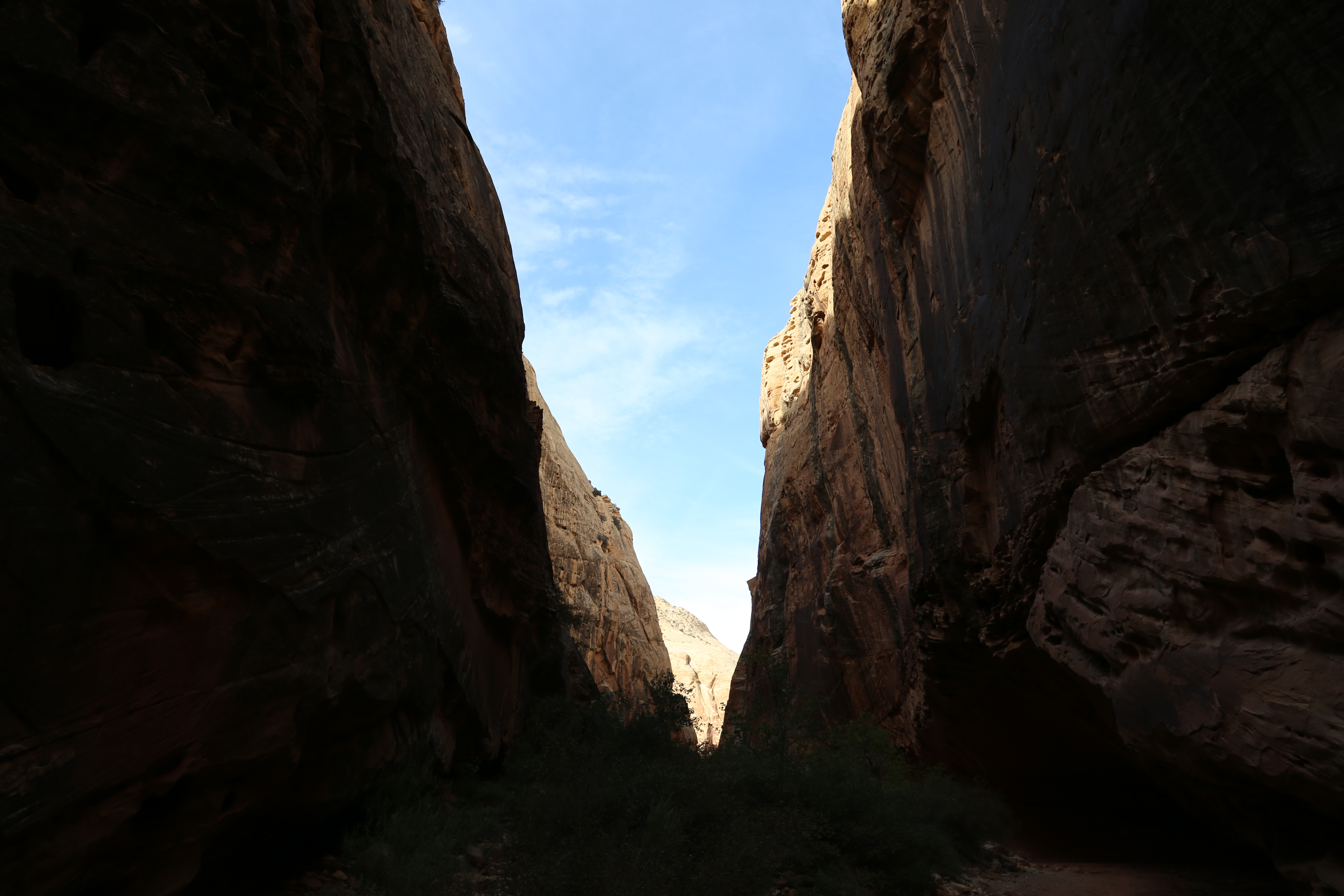 2015 Fall Break - Day 2 - Capitol Reef National Park (Grand Wash Narrows, Capitol Gorge (Petroglyphs, Narrows, Pioneer Register), Waterpocket Fold Drive (Notom-Bullfrog Road, Burr Trail Road), Hell's Backbone Grill (Boulder, Utah))