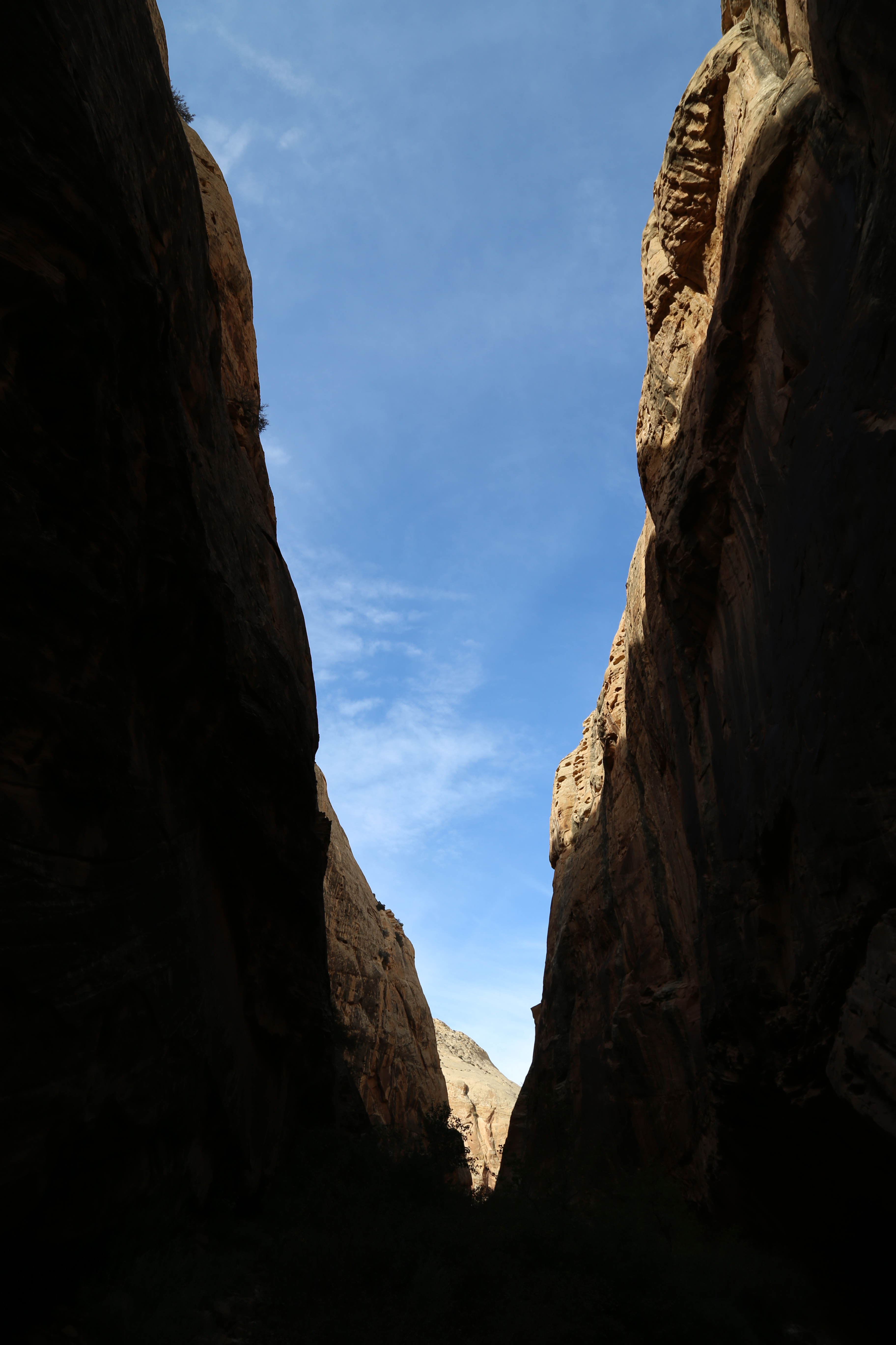 2015 Fall Break - Day 2 - Capitol Reef National Park (Grand Wash Narrows, Capitol Gorge (Petroglyphs, Narrows, Pioneer Register), Waterpocket Fold Drive (Notom-Bullfrog Road, Burr Trail Road), Hell's Backbone Grill (Boulder, Utah))