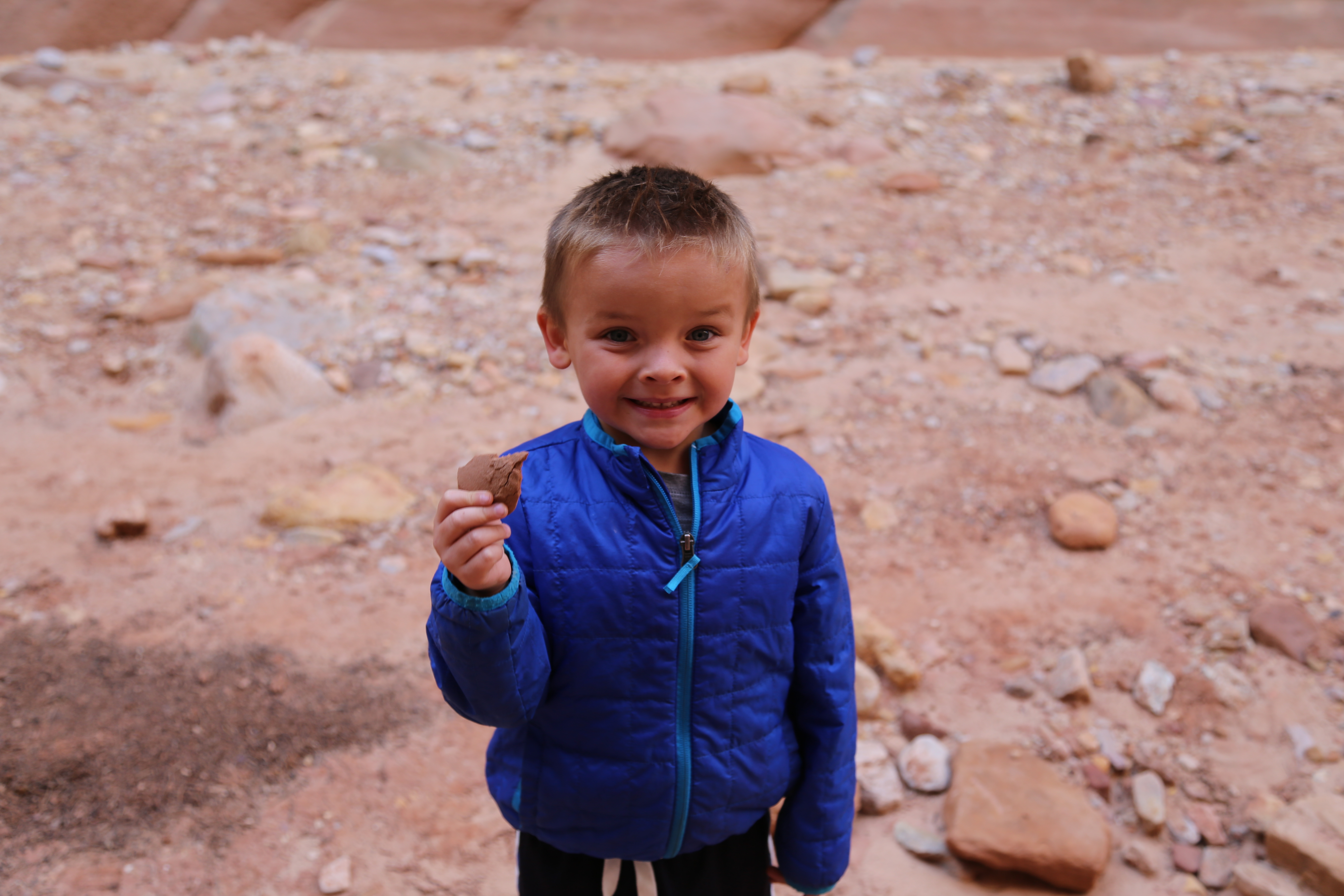 2015 Fall Break - Day 2 - Capitol Reef National Park (Grand Wash Narrows, Capitol Gorge (Petroglyphs, Narrows, Pioneer Register), Waterpocket Fold Drive (Notom-Bullfrog Road, Burr Trail Road), Hell's Backbone Grill (Boulder, Utah))