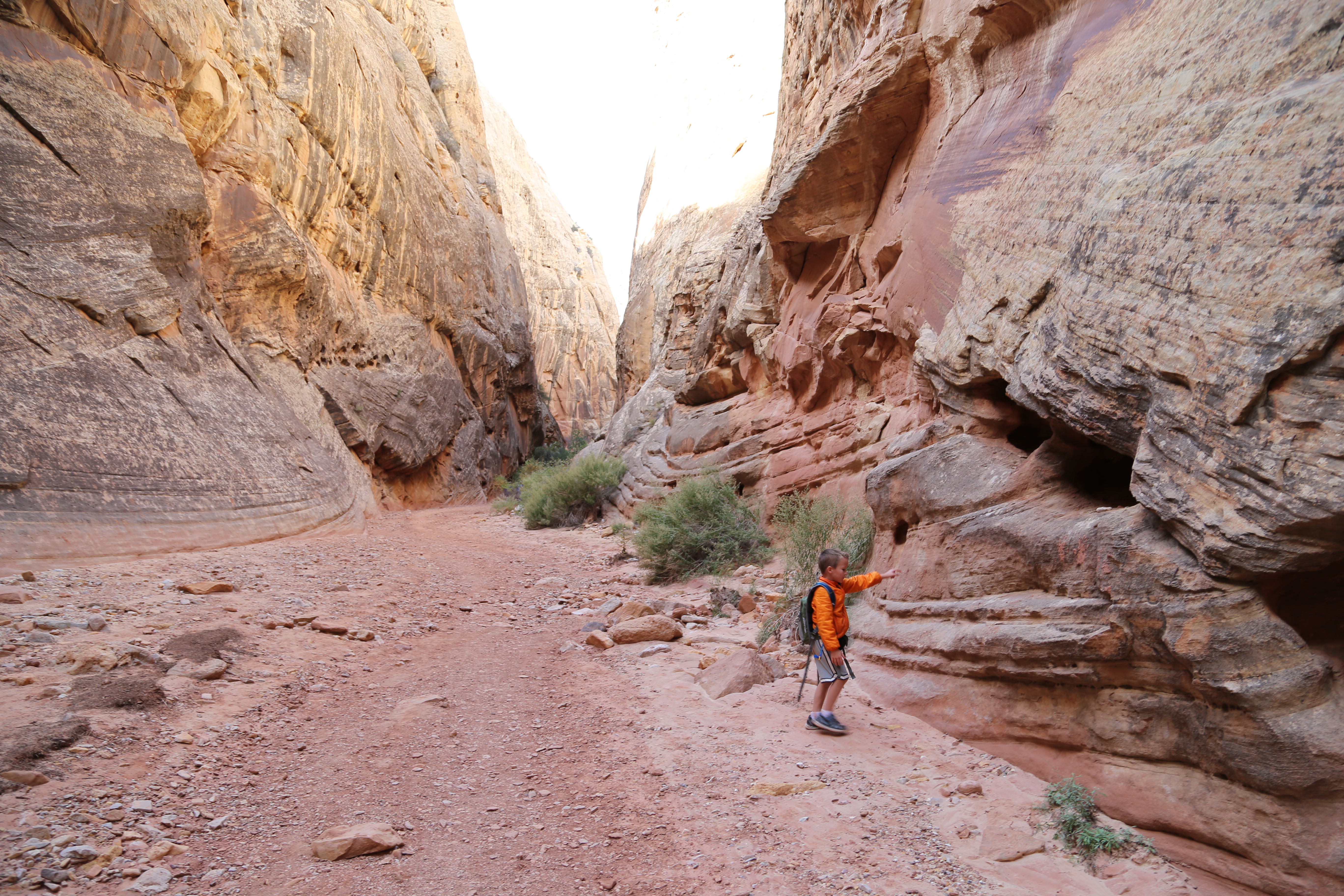 2015 Fall Break - Day 2 - Capitol Reef National Park (Grand Wash Narrows, Capitol Gorge (Petroglyphs, Narrows, Pioneer Register), Waterpocket Fold Drive (Notom-Bullfrog Road, Burr Trail Road), Hell's Backbone Grill (Boulder, Utah))