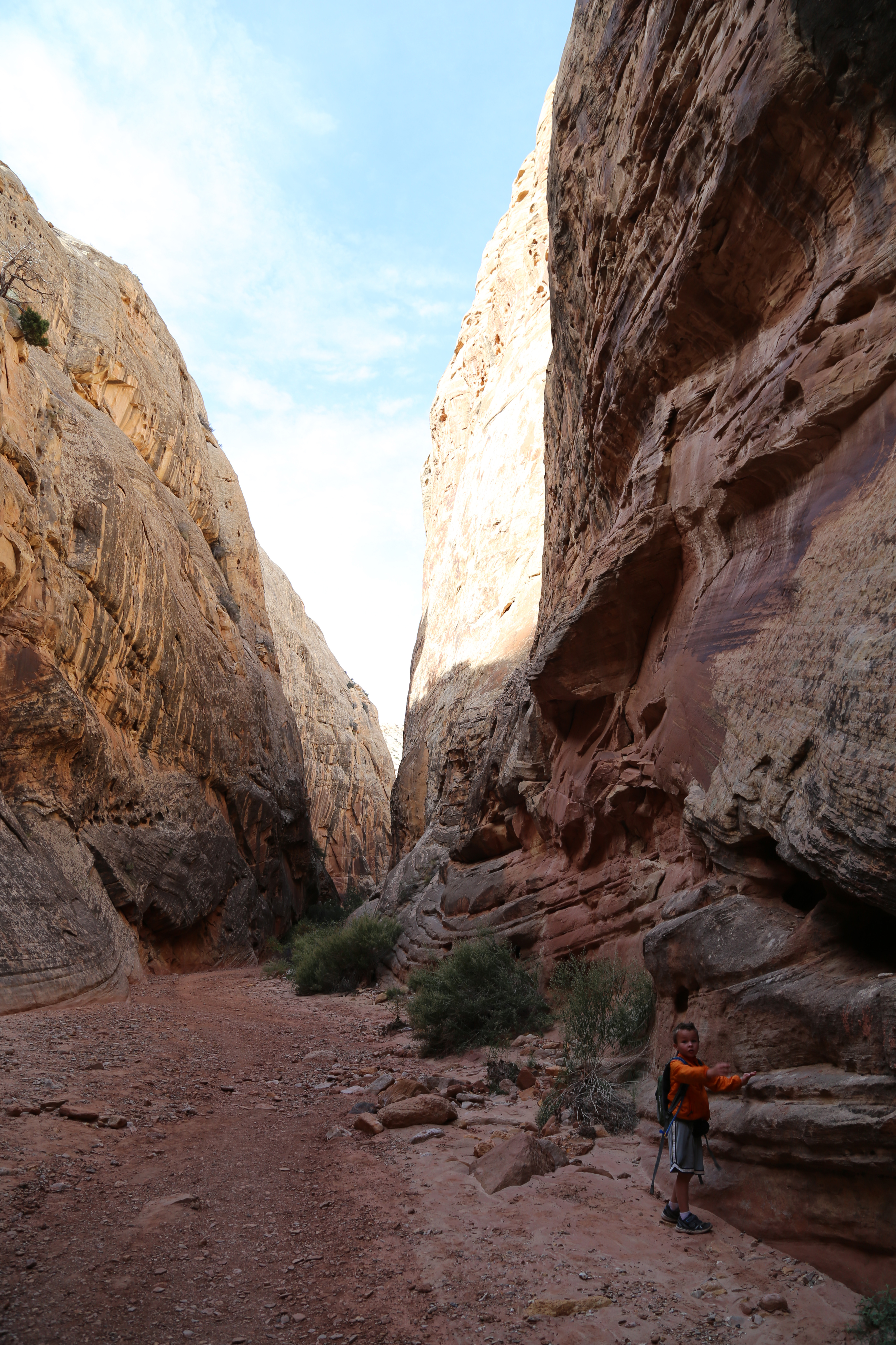 2015 Fall Break - Day 2 - Capitol Reef National Park (Grand Wash Narrows, Capitol Gorge (Petroglyphs, Narrows, Pioneer Register), Waterpocket Fold Drive (Notom-Bullfrog Road, Burr Trail Road), Hell's Backbone Grill (Boulder, Utah))