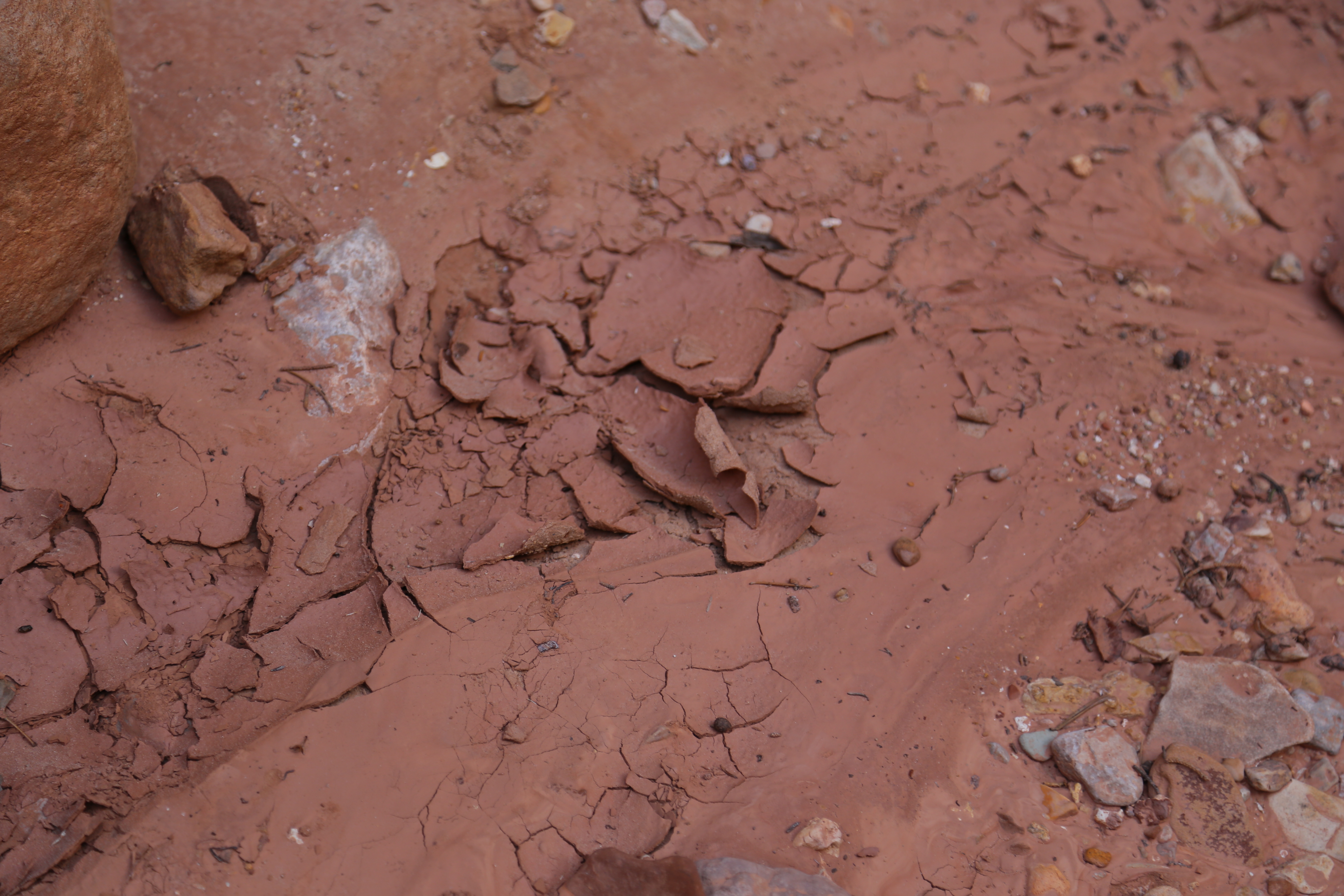 2015 Fall Break - Day 2 - Capitol Reef National Park (Grand Wash Narrows, Capitol Gorge (Petroglyphs, Narrows, Pioneer Register), Waterpocket Fold Drive (Notom-Bullfrog Road, Burr Trail Road), Hell's Backbone Grill (Boulder, Utah))