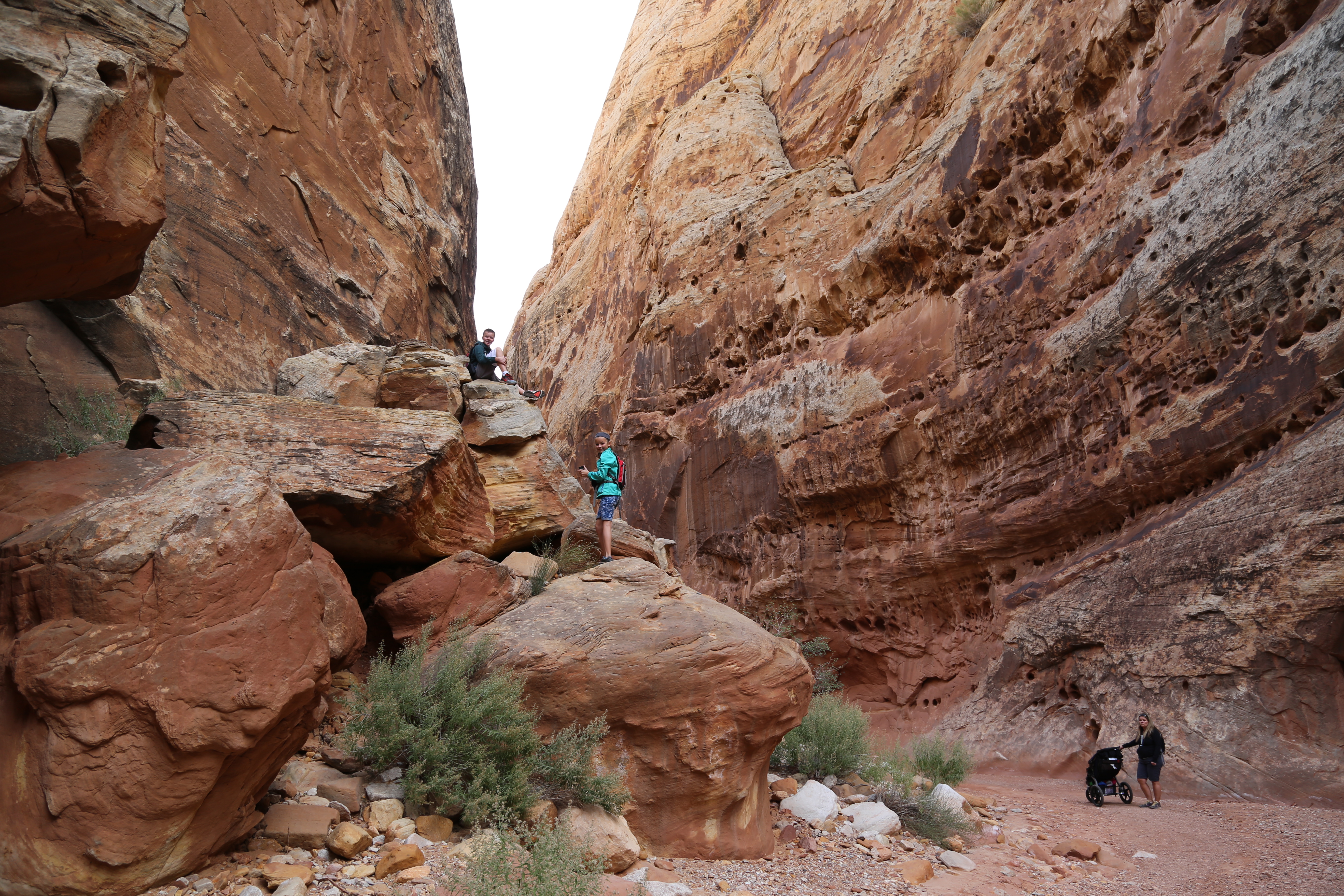 2015 Fall Break - Day 2 - Capitol Reef National Park (Grand Wash Narrows, Capitol Gorge (Petroglyphs, Narrows, Pioneer Register), Waterpocket Fold Drive (Notom-Bullfrog Road, Burr Trail Road), Hell's Backbone Grill (Boulder, Utah))