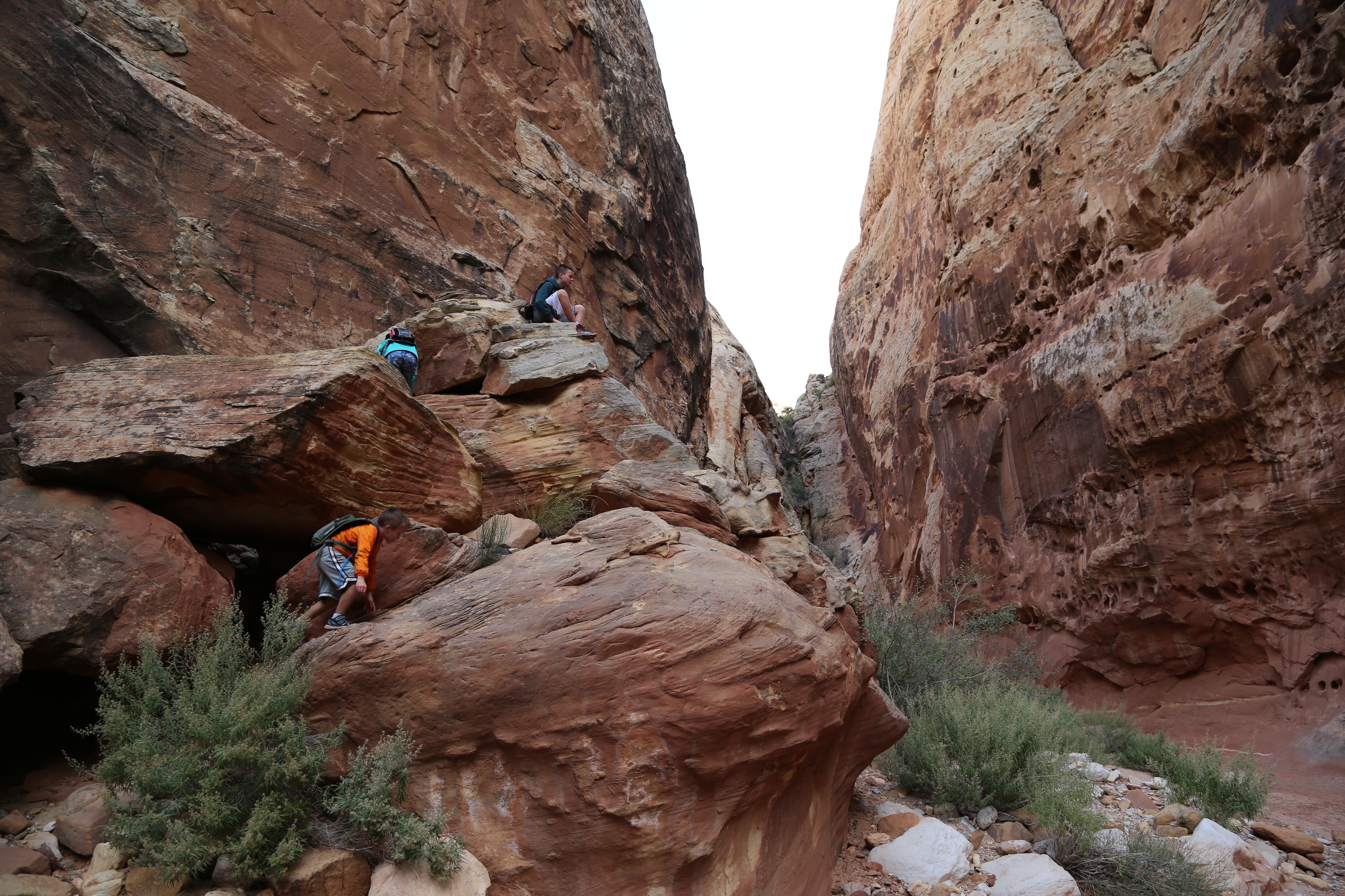 2015 Fall Break - Day 2 - Capitol Reef National Park (Grand Wash Narrows, Capitol Gorge (Petroglyphs, Narrows, Pioneer Register), Waterpocket Fold Drive (Notom-Bullfrog Road, Burr Trail Road), Hell's Backbone Grill (Boulder, Utah))