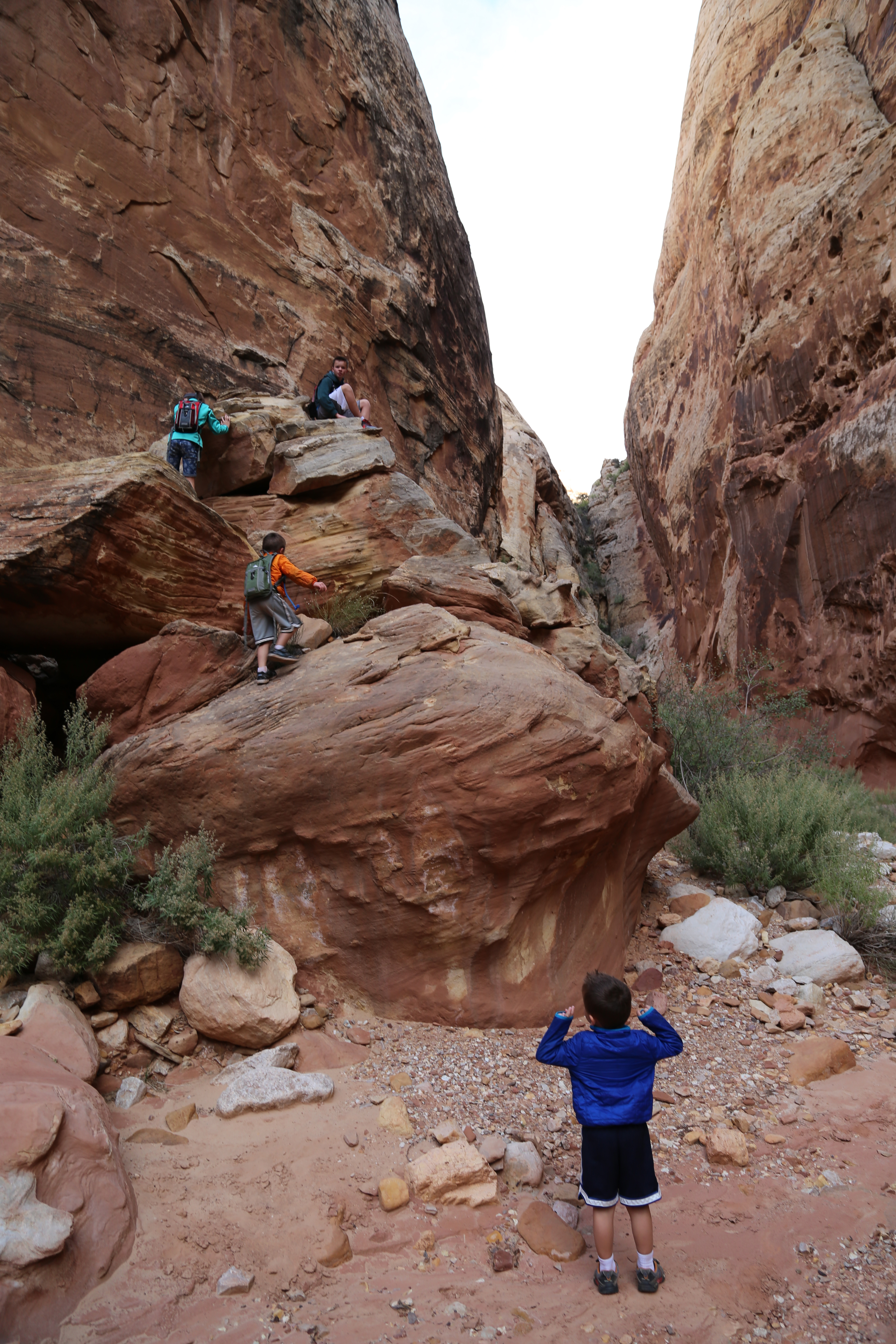 2015 Fall Break - Day 2 - Capitol Reef National Park (Grand Wash Narrows, Capitol Gorge (Petroglyphs, Narrows, Pioneer Register), Waterpocket Fold Drive (Notom-Bullfrog Road, Burr Trail Road), Hell's Backbone Grill (Boulder, Utah))