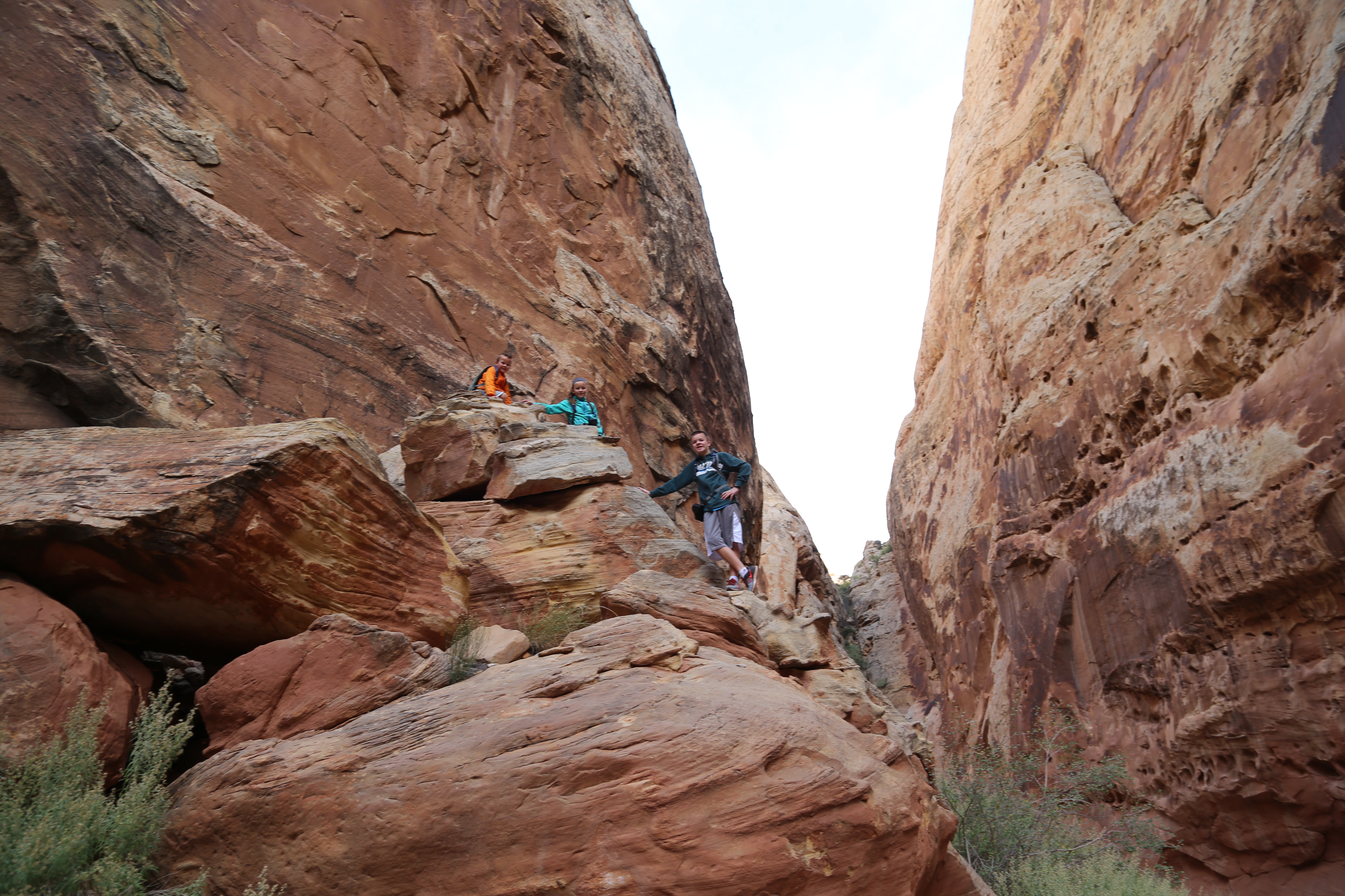 2015 Fall Break - Day 2 - Capitol Reef National Park (Grand Wash Narrows, Capitol Gorge (Petroglyphs, Narrows, Pioneer Register), Waterpocket Fold Drive (Notom-Bullfrog Road, Burr Trail Road), Hell's Backbone Grill (Boulder, Utah))