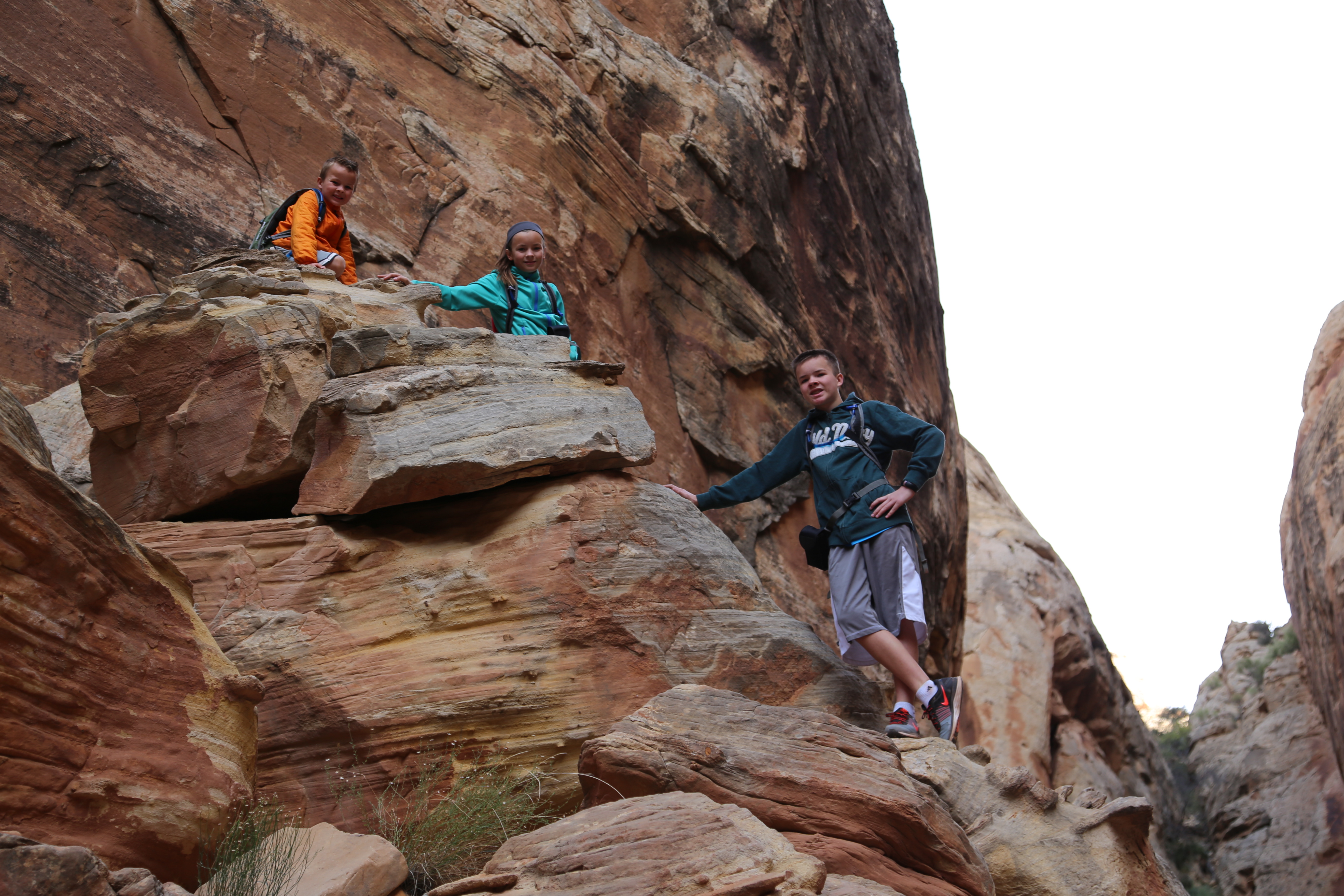 2015 Fall Break - Day 2 - Capitol Reef National Park (Grand Wash Narrows, Capitol Gorge (Petroglyphs, Narrows, Pioneer Register), Waterpocket Fold Drive (Notom-Bullfrog Road, Burr Trail Road), Hell's Backbone Grill (Boulder, Utah))