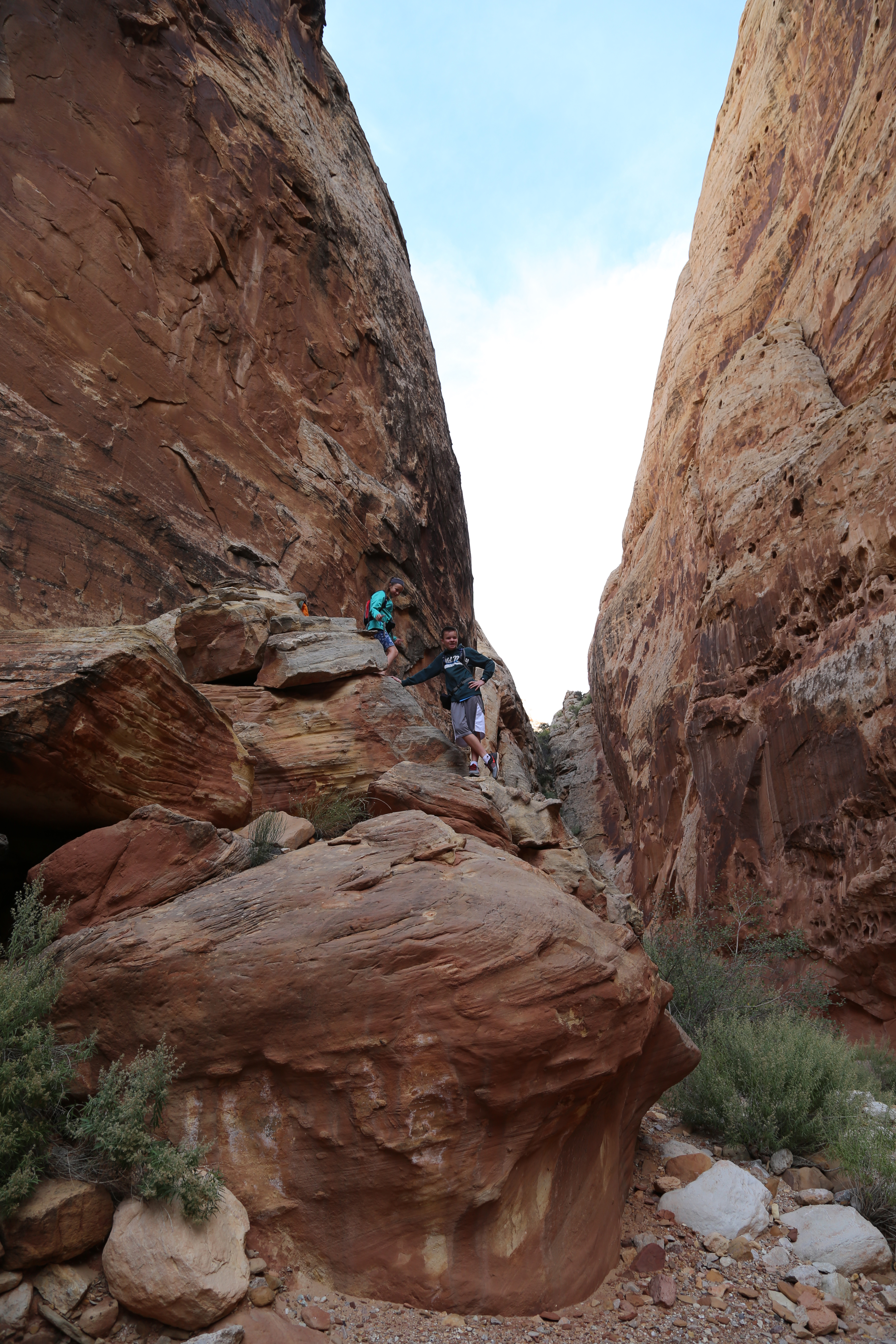 2015 Fall Break - Day 2 - Capitol Reef National Park (Grand Wash Narrows, Capitol Gorge (Petroglyphs, Narrows, Pioneer Register), Waterpocket Fold Drive (Notom-Bullfrog Road, Burr Trail Road), Hell's Backbone Grill (Boulder, Utah))