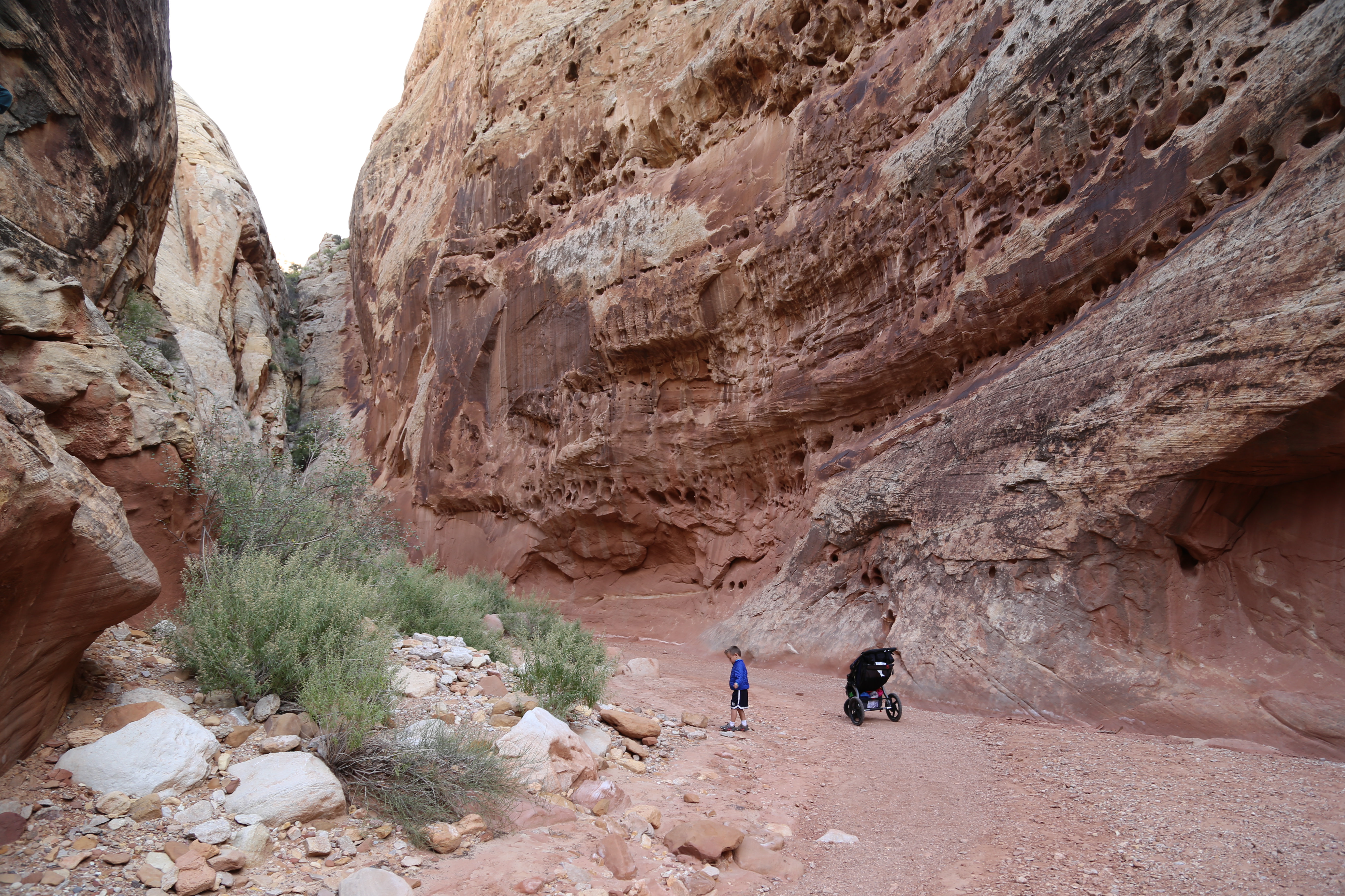 2015 Fall Break - Day 2 - Capitol Reef National Park (Grand Wash Narrows, Capitol Gorge (Petroglyphs, Narrows, Pioneer Register), Waterpocket Fold Drive (Notom-Bullfrog Road, Burr Trail Road), Hell's Backbone Grill (Boulder, Utah))