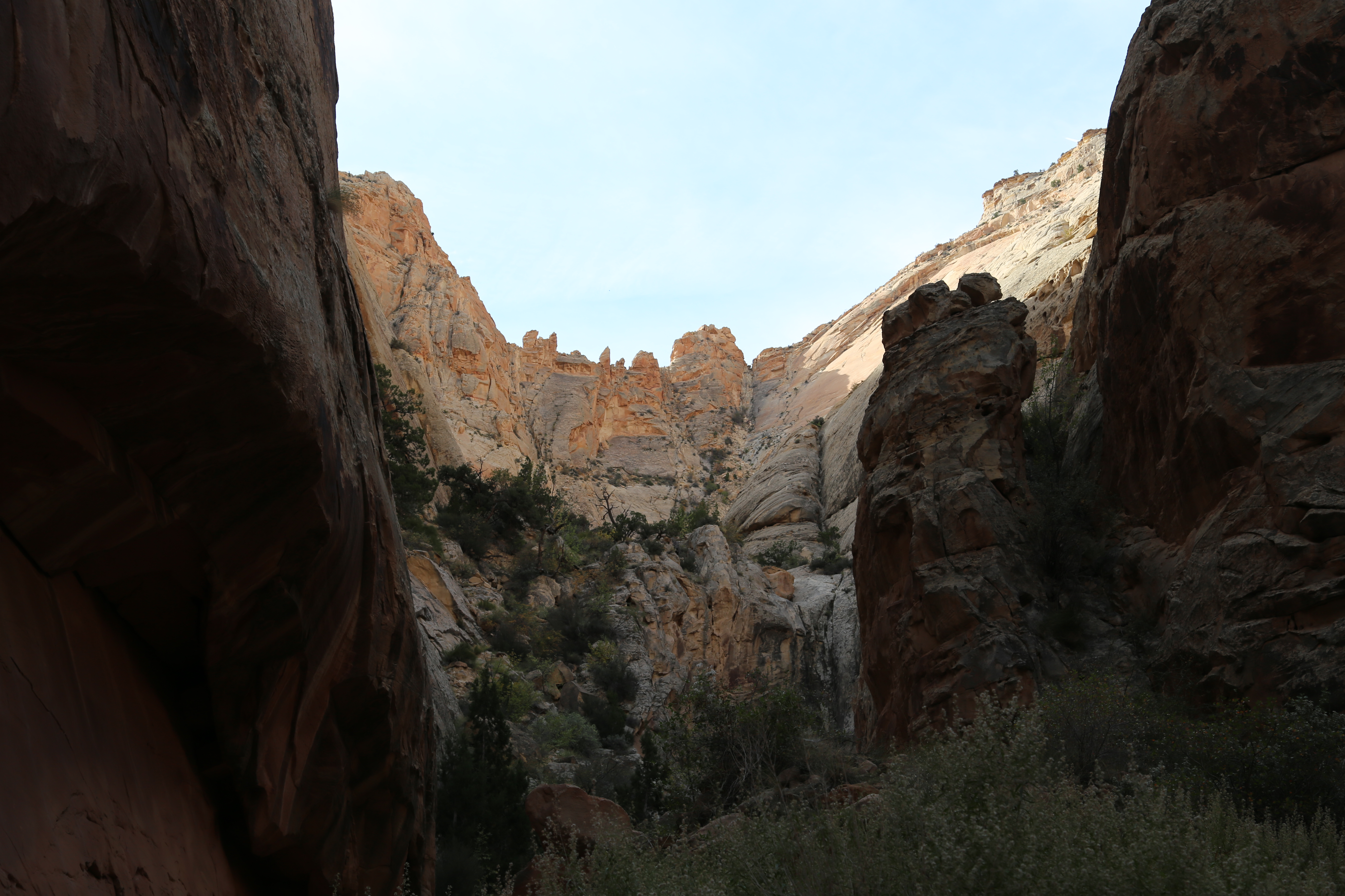 2015 Fall Break - Day 2 - Capitol Reef National Park (Grand Wash Narrows, Capitol Gorge (Petroglyphs, Narrows, Pioneer Register), Waterpocket Fold Drive (Notom-Bullfrog Road, Burr Trail Road), Hell's Backbone Grill (Boulder, Utah))