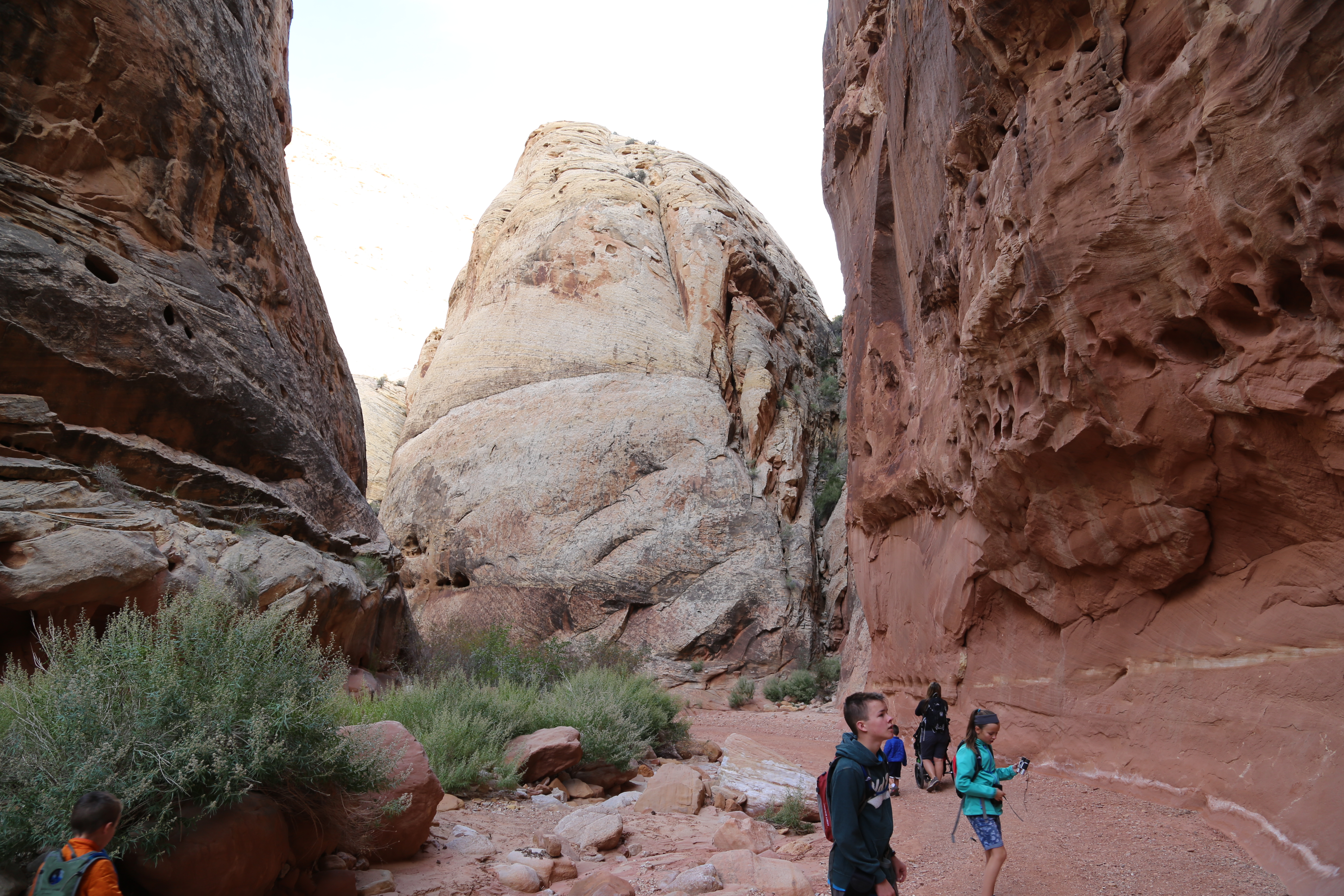 2015 Fall Break - Day 2 - Capitol Reef National Park (Grand Wash Narrows, Capitol Gorge (Petroglyphs, Narrows, Pioneer Register), Waterpocket Fold Drive (Notom-Bullfrog Road, Burr Trail Road), Hell's Backbone Grill (Boulder, Utah))