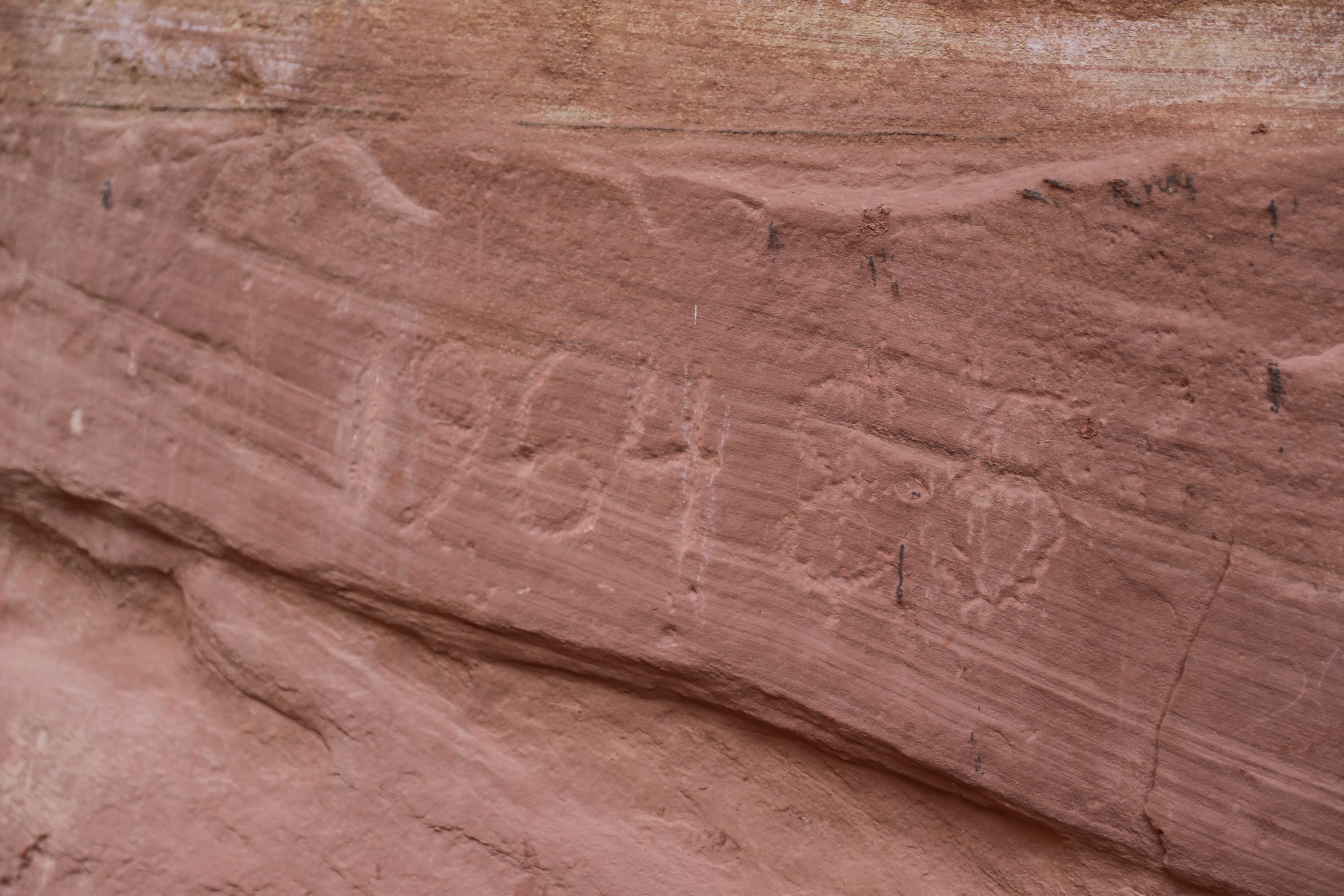 2015 Fall Break - Day 2 - Capitol Reef National Park (Grand Wash Narrows, Capitol Gorge (Petroglyphs, Narrows, Pioneer Register), Waterpocket Fold Drive (Notom-Bullfrog Road, Burr Trail Road), Hell's Backbone Grill (Boulder, Utah))