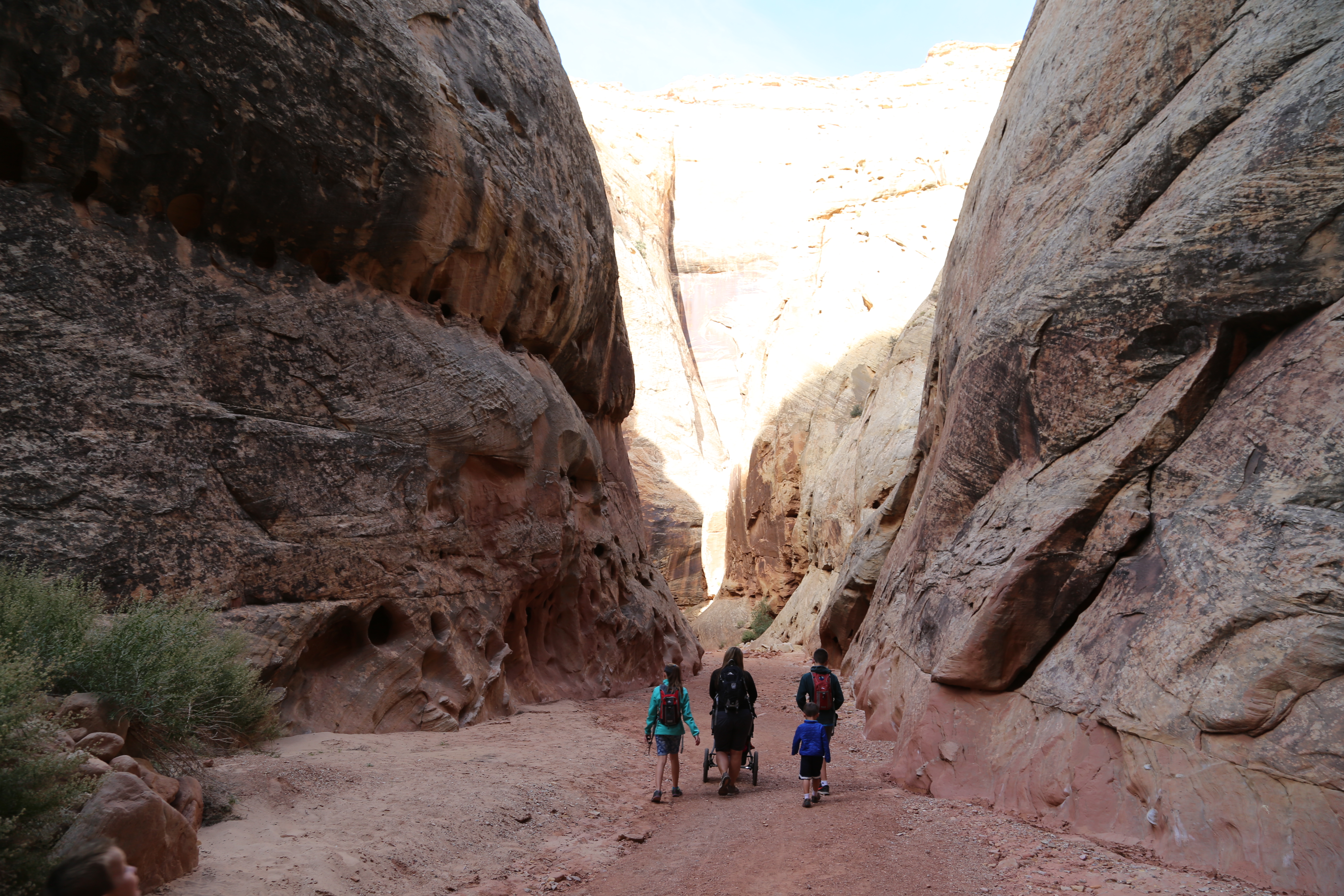 2015 Fall Break - Day 2 - Capitol Reef National Park (Grand Wash Narrows, Capitol Gorge (Petroglyphs, Narrows, Pioneer Register), Waterpocket Fold Drive (Notom-Bullfrog Road, Burr Trail Road), Hell's Backbone Grill (Boulder, Utah))