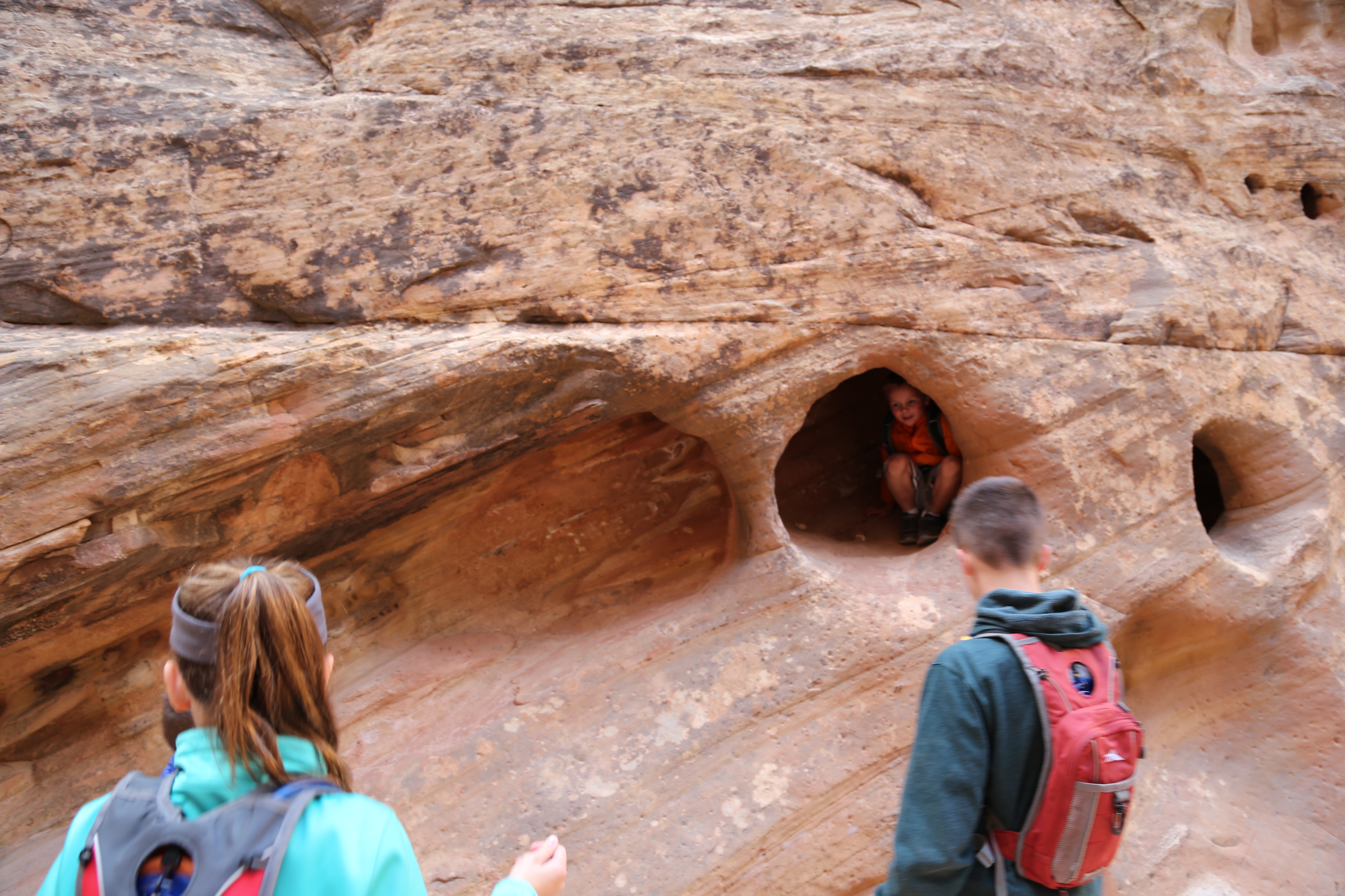 2015 Fall Break - Day 2 - Capitol Reef National Park (Grand Wash Narrows, Capitol Gorge (Petroglyphs, Narrows, Pioneer Register), Waterpocket Fold Drive (Notom-Bullfrog Road, Burr Trail Road), Hell's Backbone Grill (Boulder, Utah))