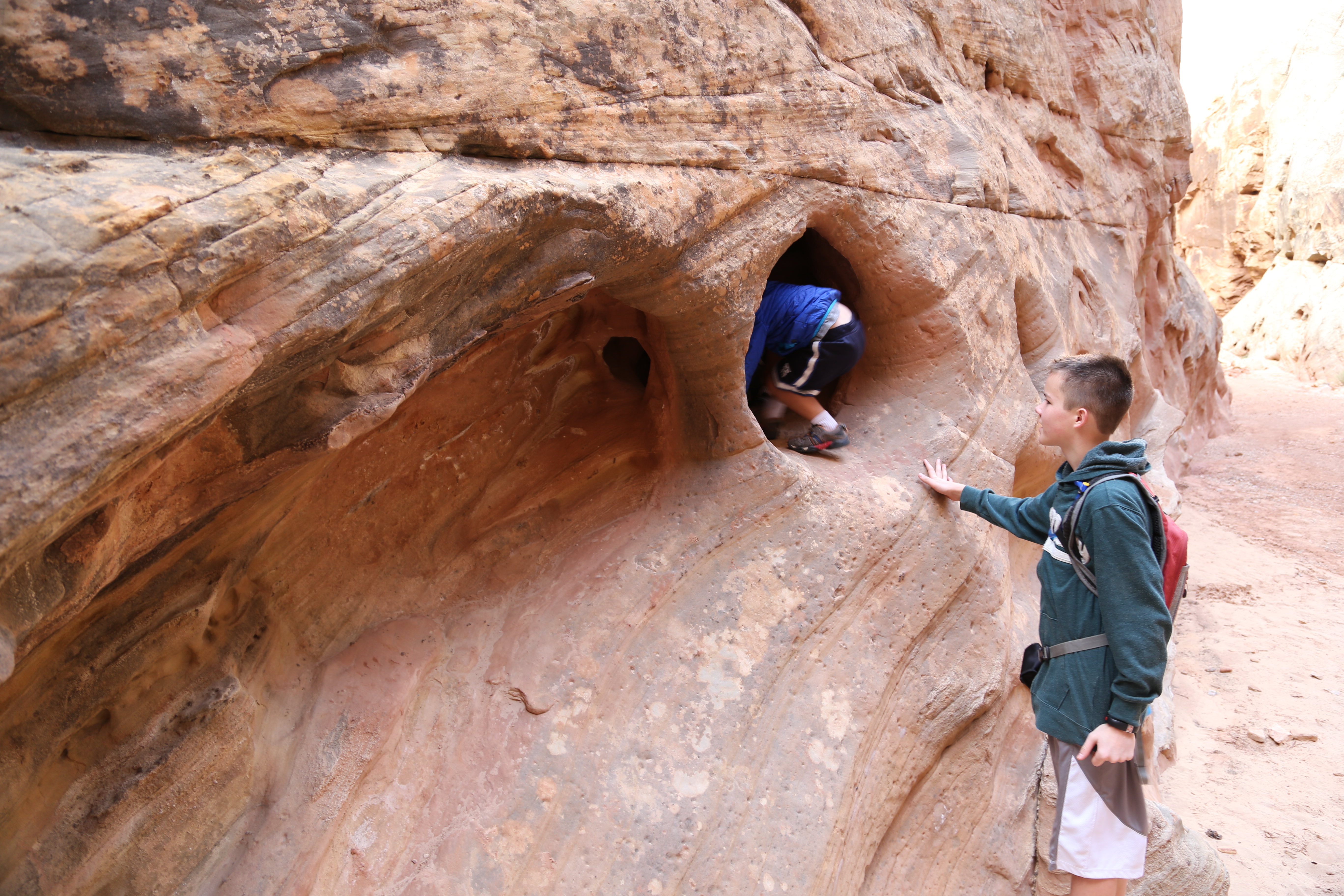 2015 Fall Break - Day 2 - Capitol Reef National Park (Grand Wash Narrows, Capitol Gorge (Petroglyphs, Narrows, Pioneer Register), Waterpocket Fold Drive (Notom-Bullfrog Road, Burr Trail Road), Hell's Backbone Grill (Boulder, Utah))