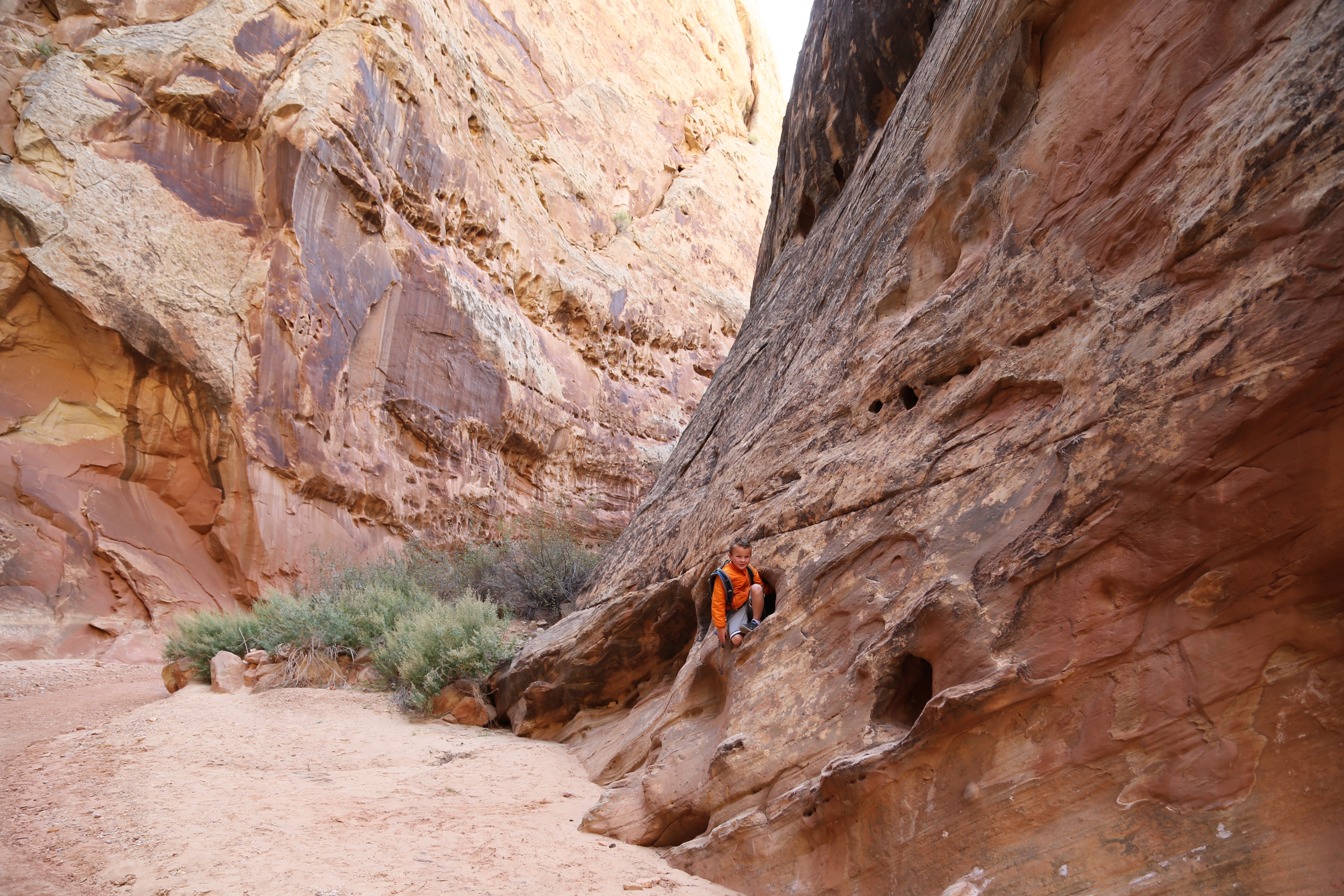 2015 Fall Break - Day 2 - Capitol Reef National Park (Grand Wash Narrows, Capitol Gorge (Petroglyphs, Narrows, Pioneer Register), Waterpocket Fold Drive (Notom-Bullfrog Road, Burr Trail Road), Hell's Backbone Grill (Boulder, Utah))