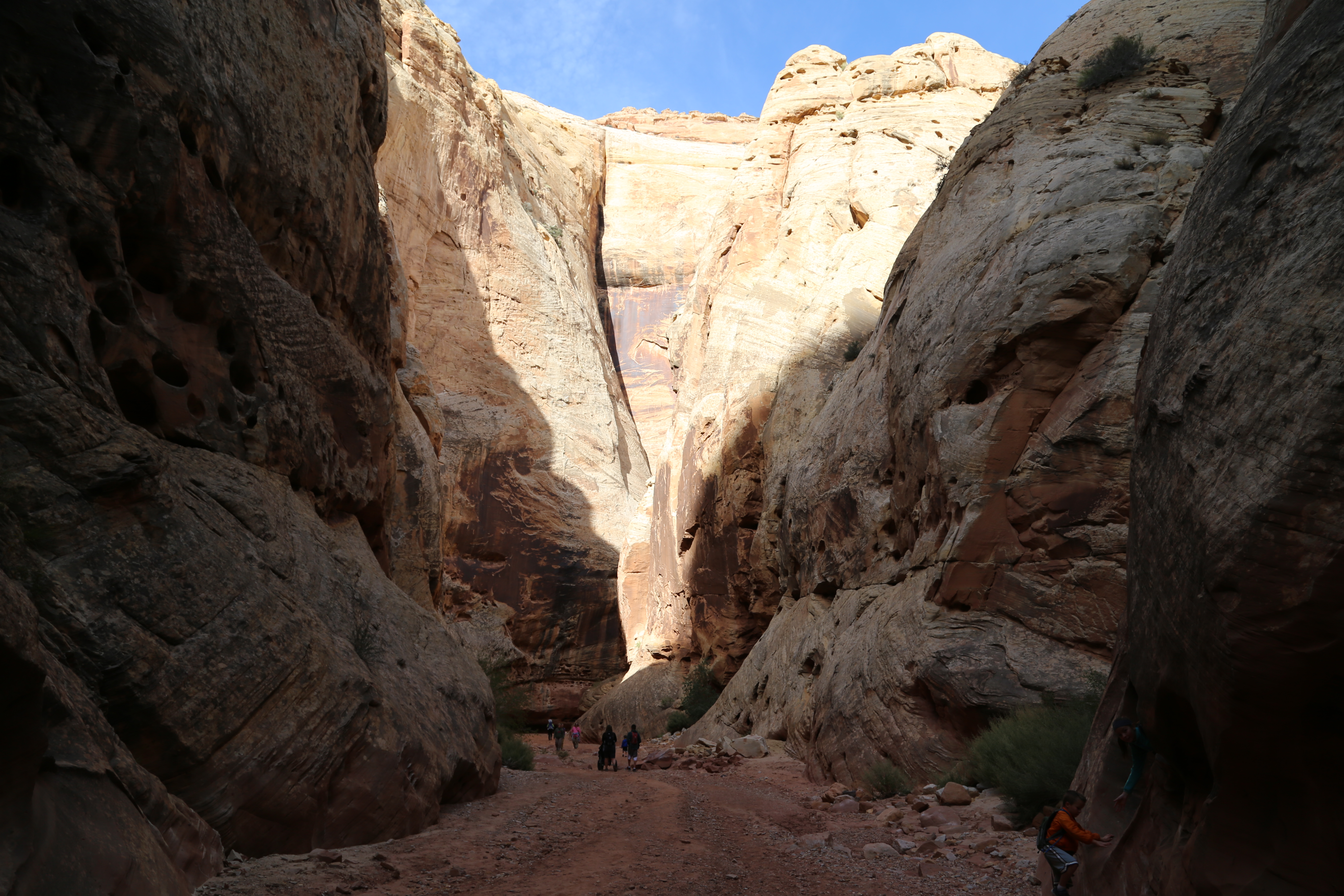 2015 Fall Break - Day 2 - Capitol Reef National Park (Grand Wash Narrows, Capitol Gorge (Petroglyphs, Narrows, Pioneer Register), Waterpocket Fold Drive (Notom-Bullfrog Road, Burr Trail Road), Hell's Backbone Grill (Boulder, Utah))