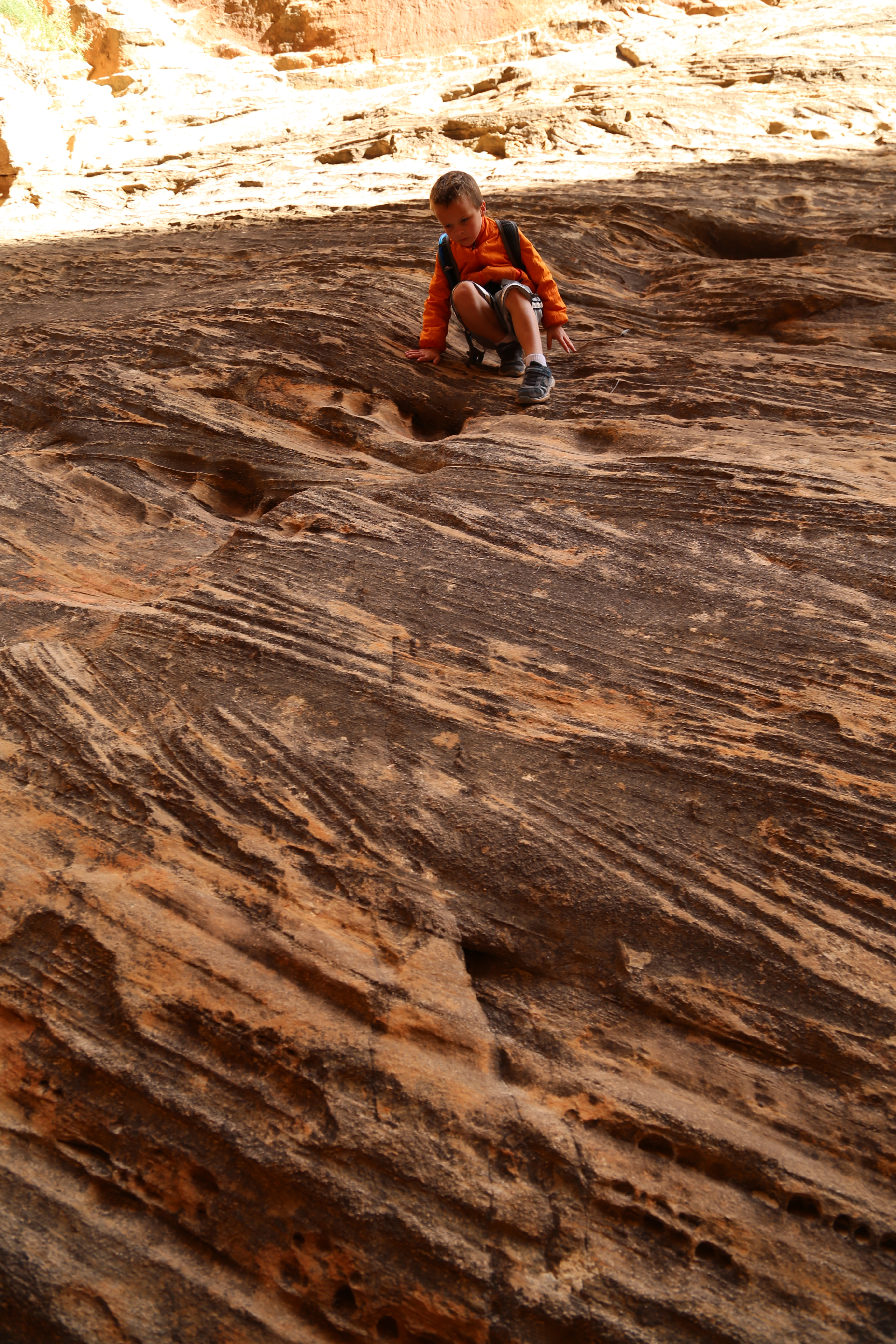 2015 Fall Break - Day 2 - Capitol Reef National Park (Grand Wash Narrows, Capitol Gorge (Petroglyphs, Narrows, Pioneer Register), Waterpocket Fold Drive (Notom-Bullfrog Road, Burr Trail Road), Hell's Backbone Grill (Boulder, Utah))