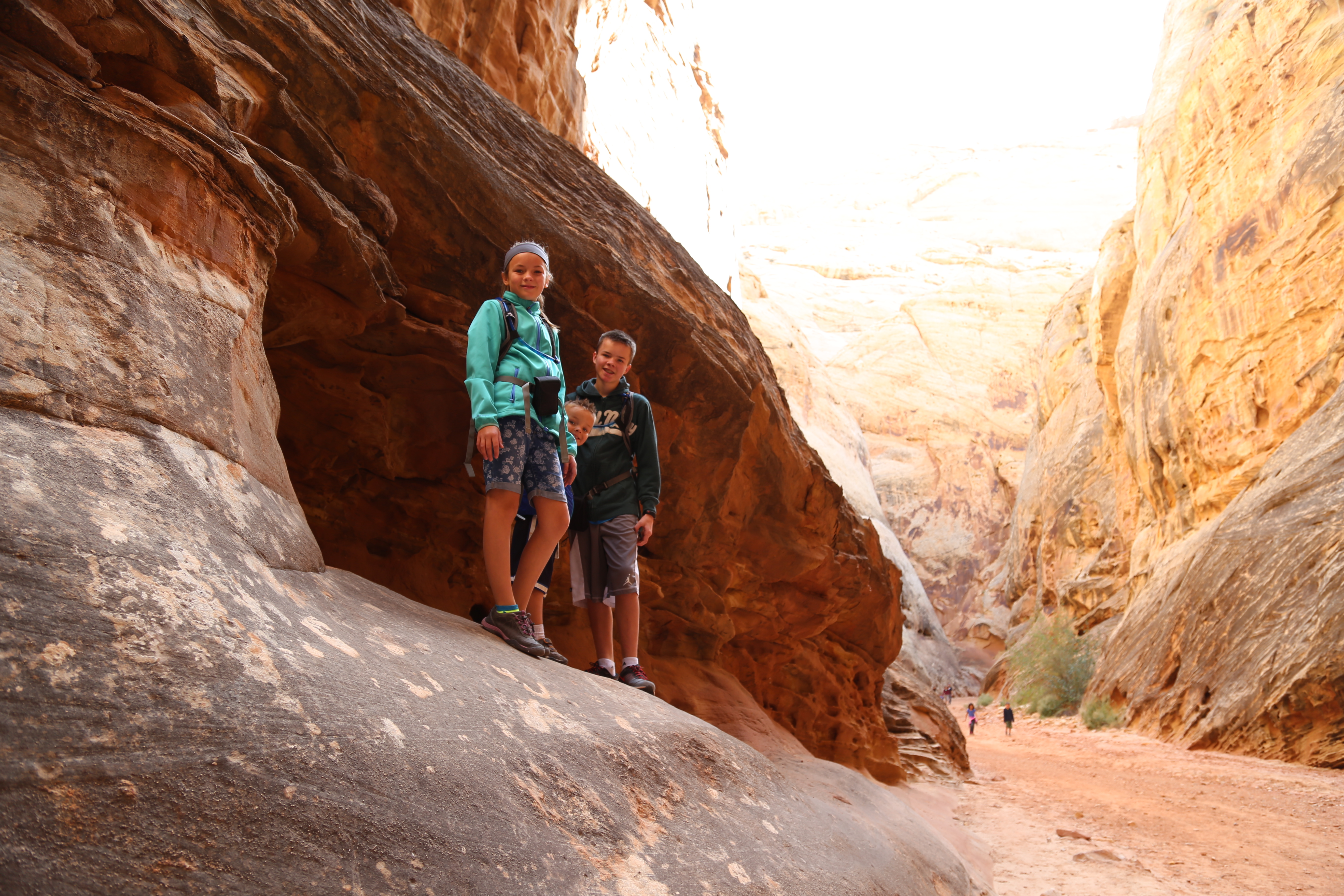 2015 Fall Break - Day 2 - Capitol Reef National Park (Grand Wash Narrows, Capitol Gorge (Petroglyphs, Narrows, Pioneer Register), Waterpocket Fold Drive (Notom-Bullfrog Road, Burr Trail Road), Hell's Backbone Grill (Boulder, Utah))