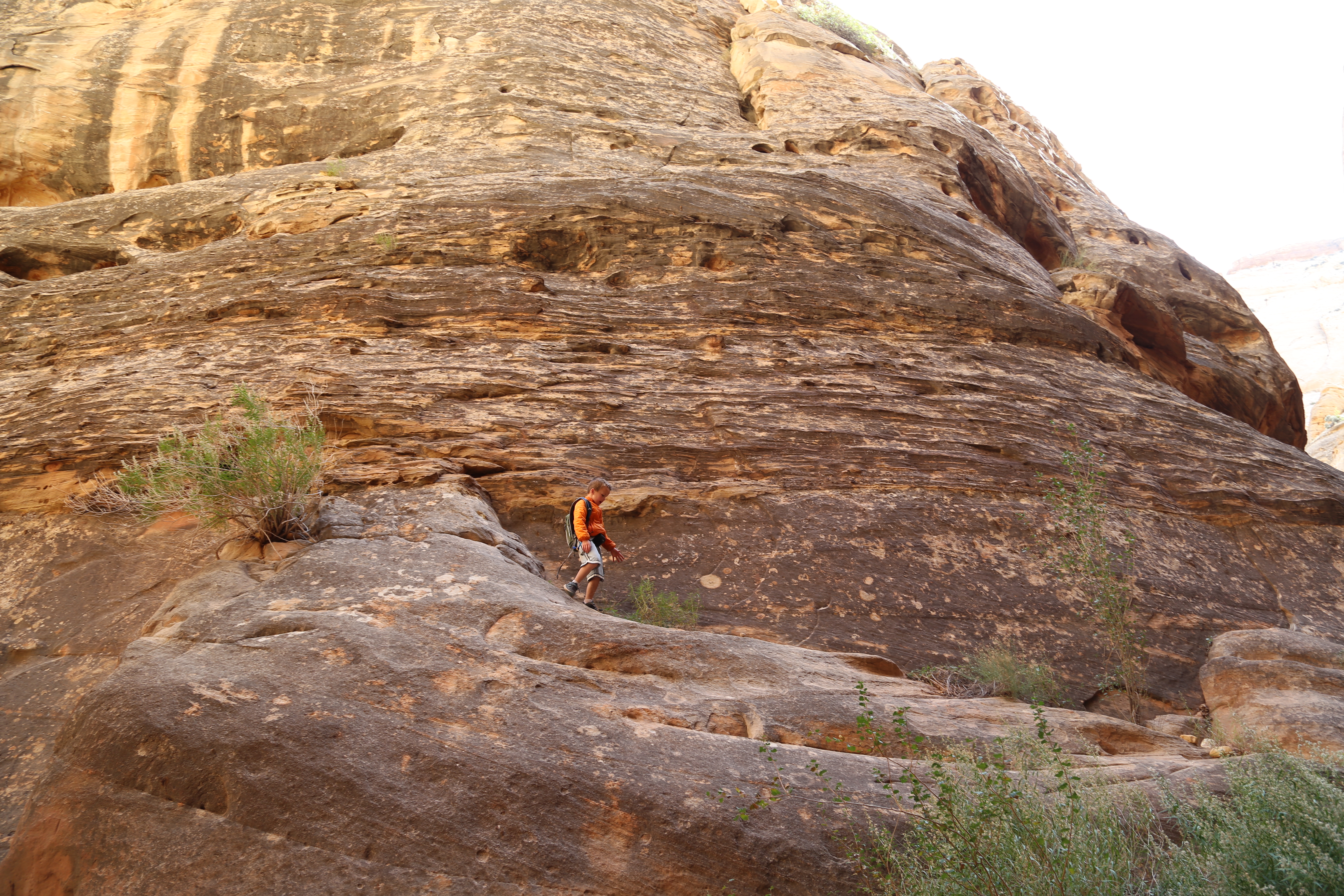 2015 Fall Break - Day 2 - Capitol Reef National Park (Grand Wash Narrows, Capitol Gorge (Petroglyphs, Narrows, Pioneer Register), Waterpocket Fold Drive (Notom-Bullfrog Road, Burr Trail Road), Hell's Backbone Grill (Boulder, Utah))