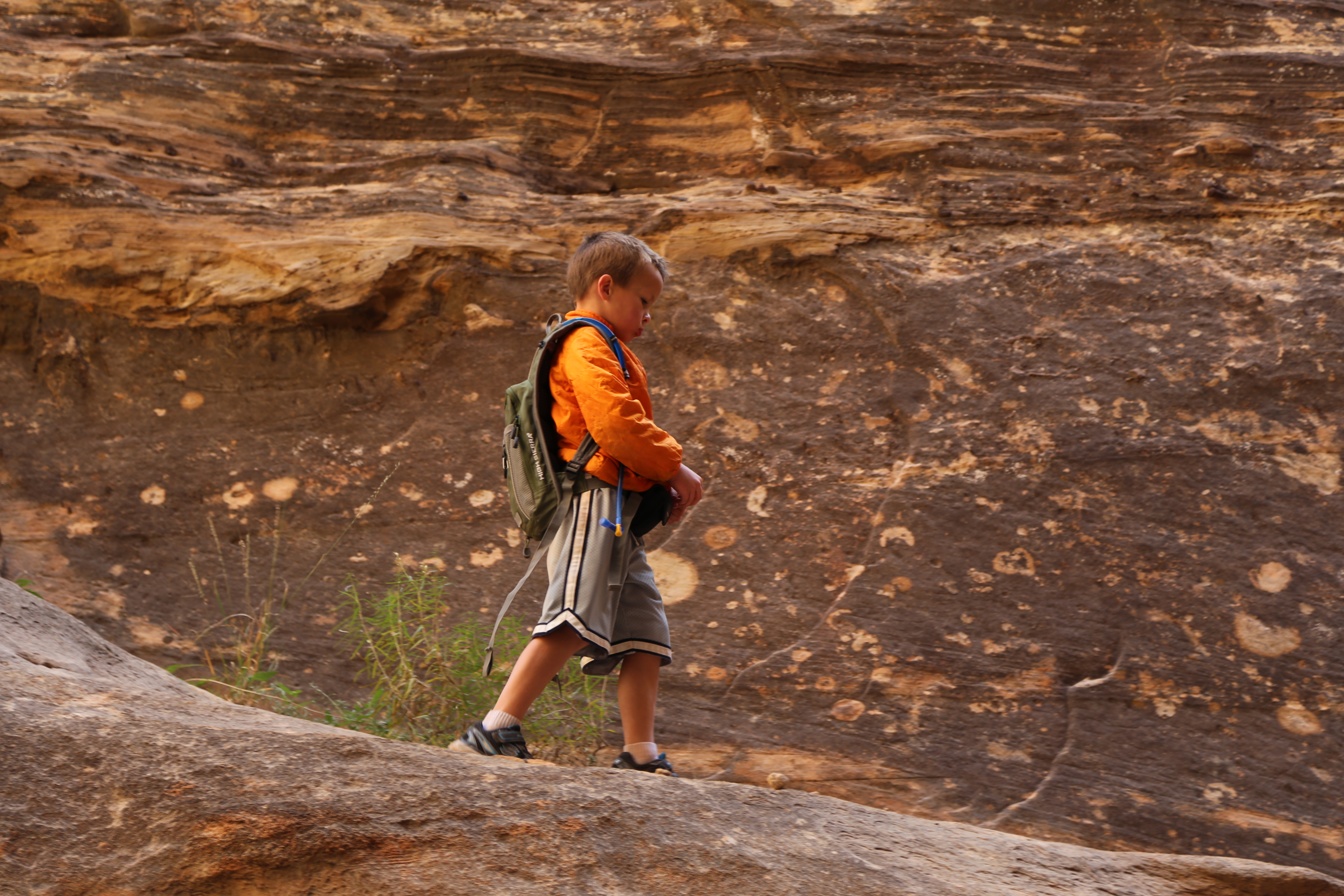 2015 Fall Break - Day 2 - Capitol Reef National Park (Grand Wash Narrows, Capitol Gorge (Petroglyphs, Narrows, Pioneer Register), Waterpocket Fold Drive (Notom-Bullfrog Road, Burr Trail Road), Hell's Backbone Grill (Boulder, Utah))