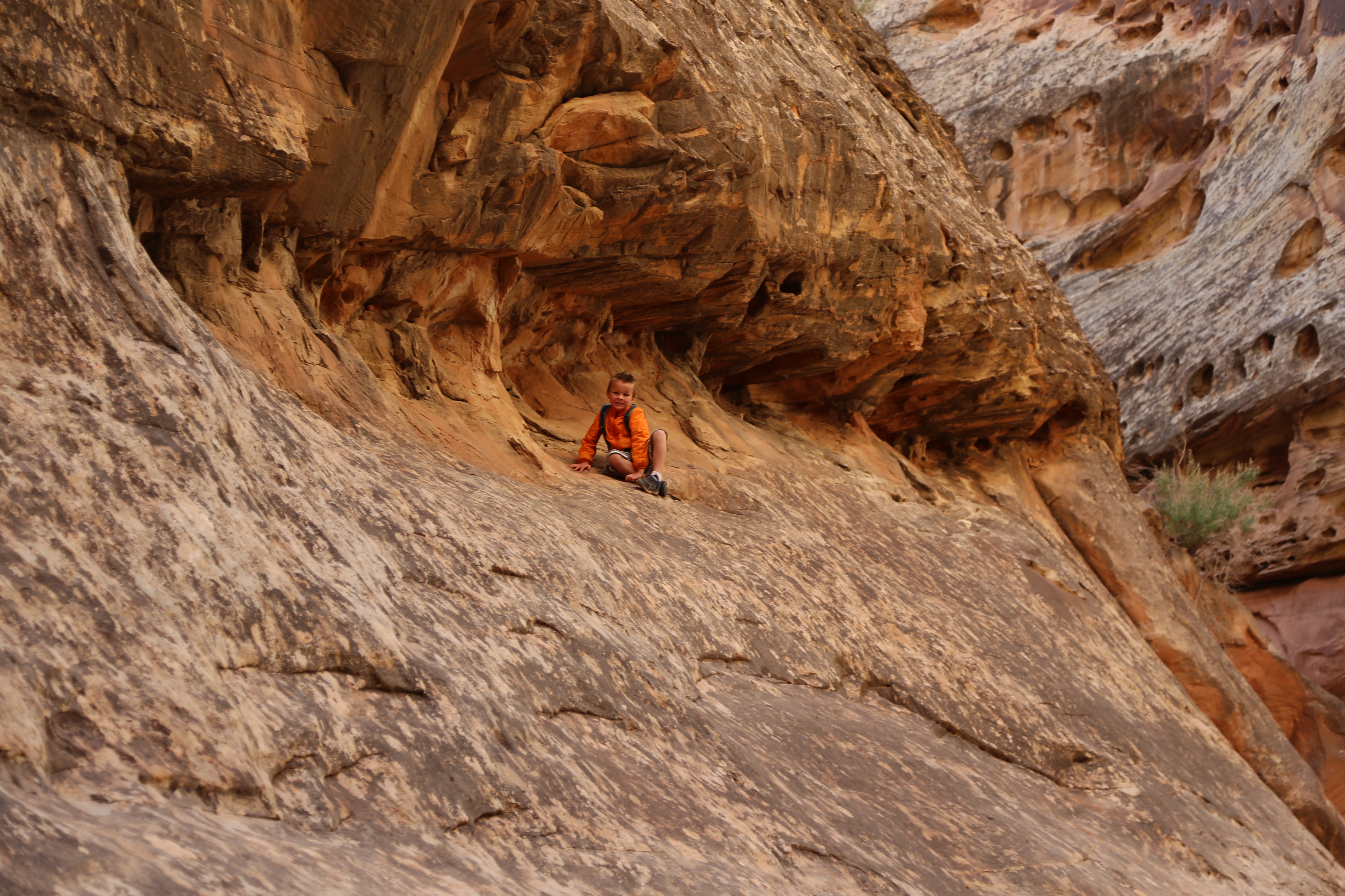 2015 Fall Break - Day 2 - Capitol Reef National Park (Grand Wash Narrows, Capitol Gorge (Petroglyphs, Narrows, Pioneer Register), Waterpocket Fold Drive (Notom-Bullfrog Road, Burr Trail Road), Hell's Backbone Grill (Boulder, Utah))