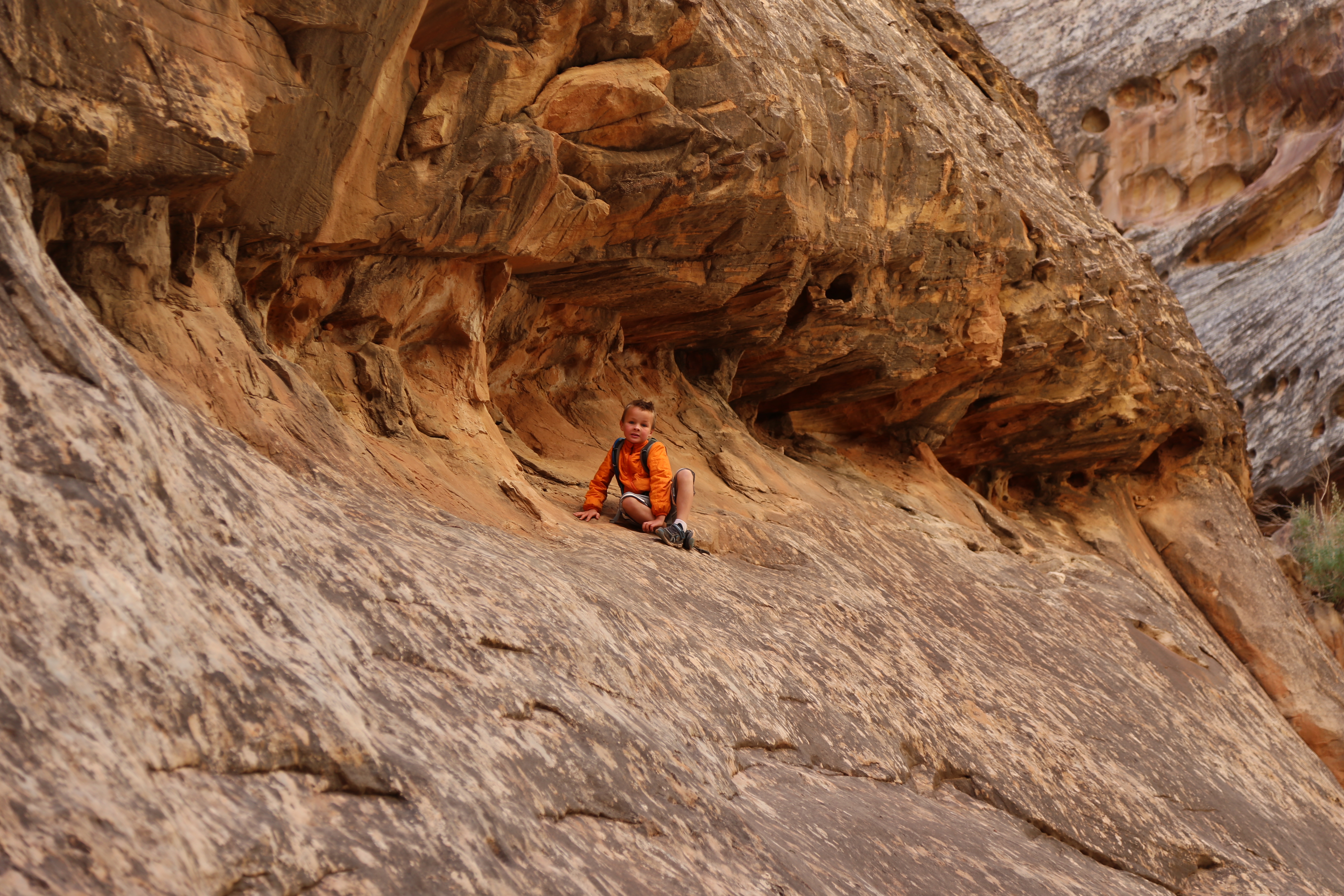 2015 Fall Break - Day 2 - Capitol Reef National Park (Grand Wash Narrows, Capitol Gorge (Petroglyphs, Narrows, Pioneer Register), Waterpocket Fold Drive (Notom-Bullfrog Road, Burr Trail Road), Hell's Backbone Grill (Boulder, Utah))