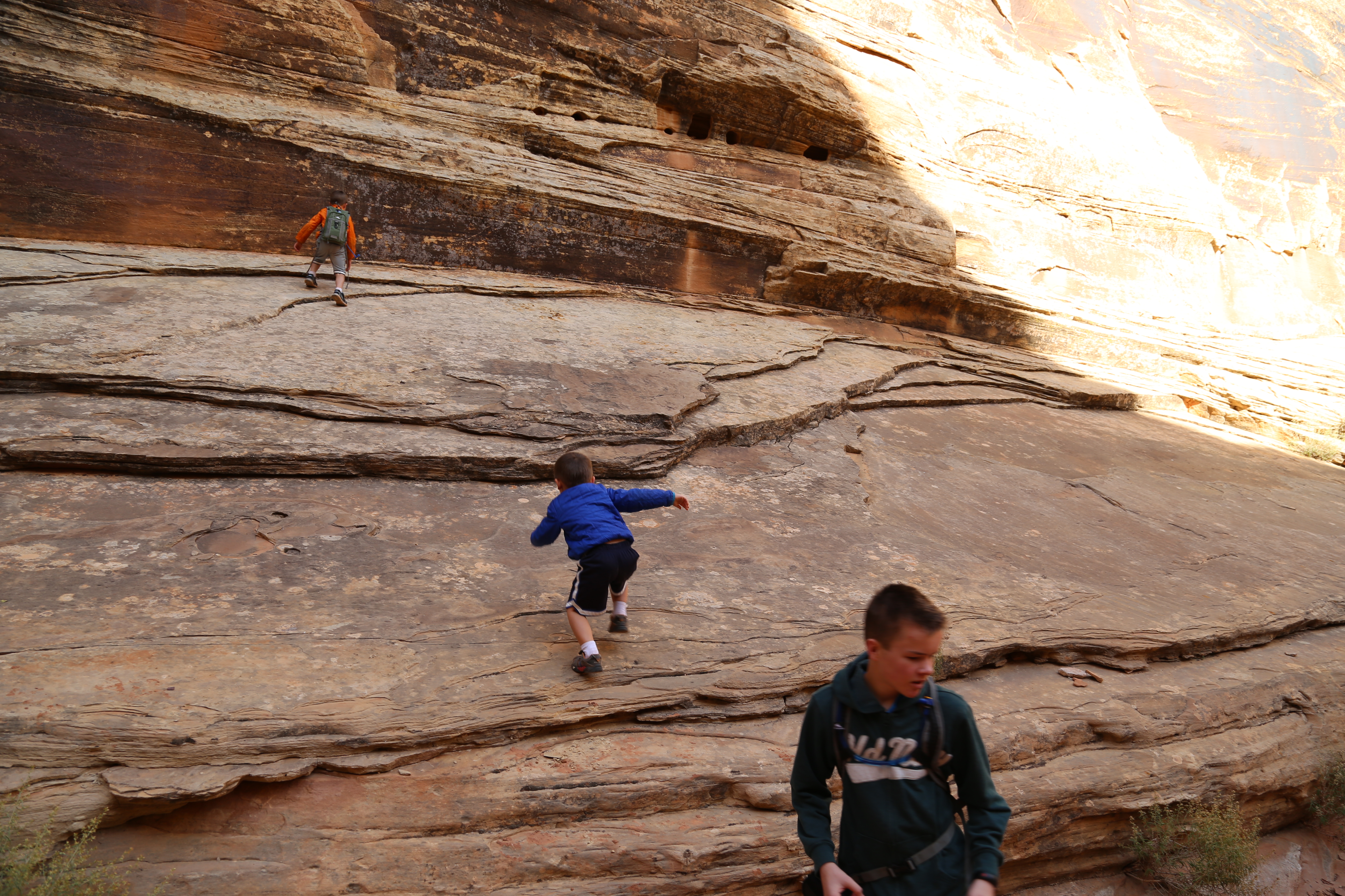 2015 Fall Break - Day 2 - Capitol Reef National Park (Grand Wash Narrows, Capitol Gorge (Petroglyphs, Narrows, Pioneer Register), Waterpocket Fold Drive (Notom-Bullfrog Road, Burr Trail Road), Hell's Backbone Grill (Boulder, Utah))