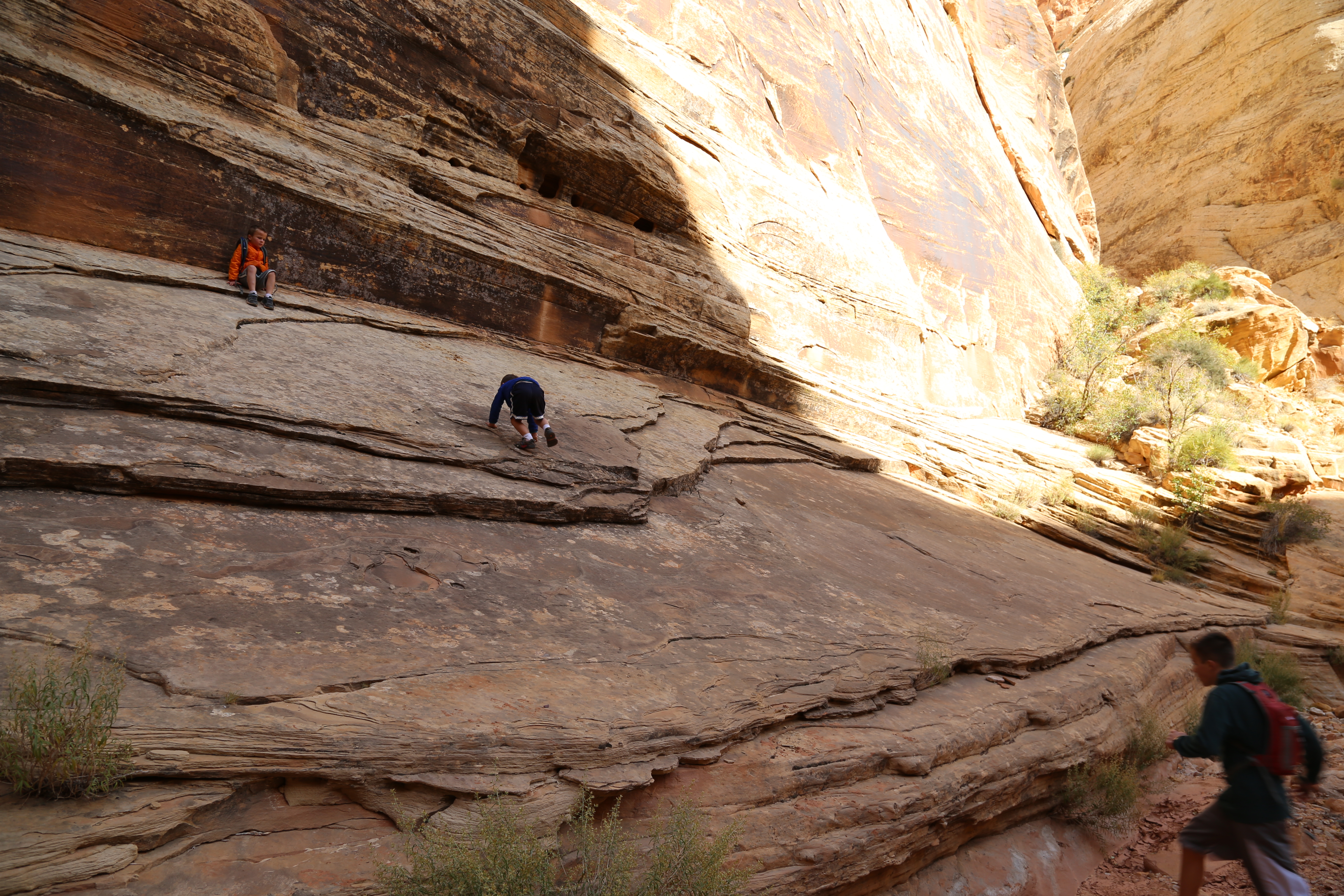 2015 Fall Break - Day 2 - Capitol Reef National Park (Grand Wash Narrows, Capitol Gorge (Petroglyphs, Narrows, Pioneer Register), Waterpocket Fold Drive (Notom-Bullfrog Road, Burr Trail Road), Hell's Backbone Grill (Boulder, Utah))