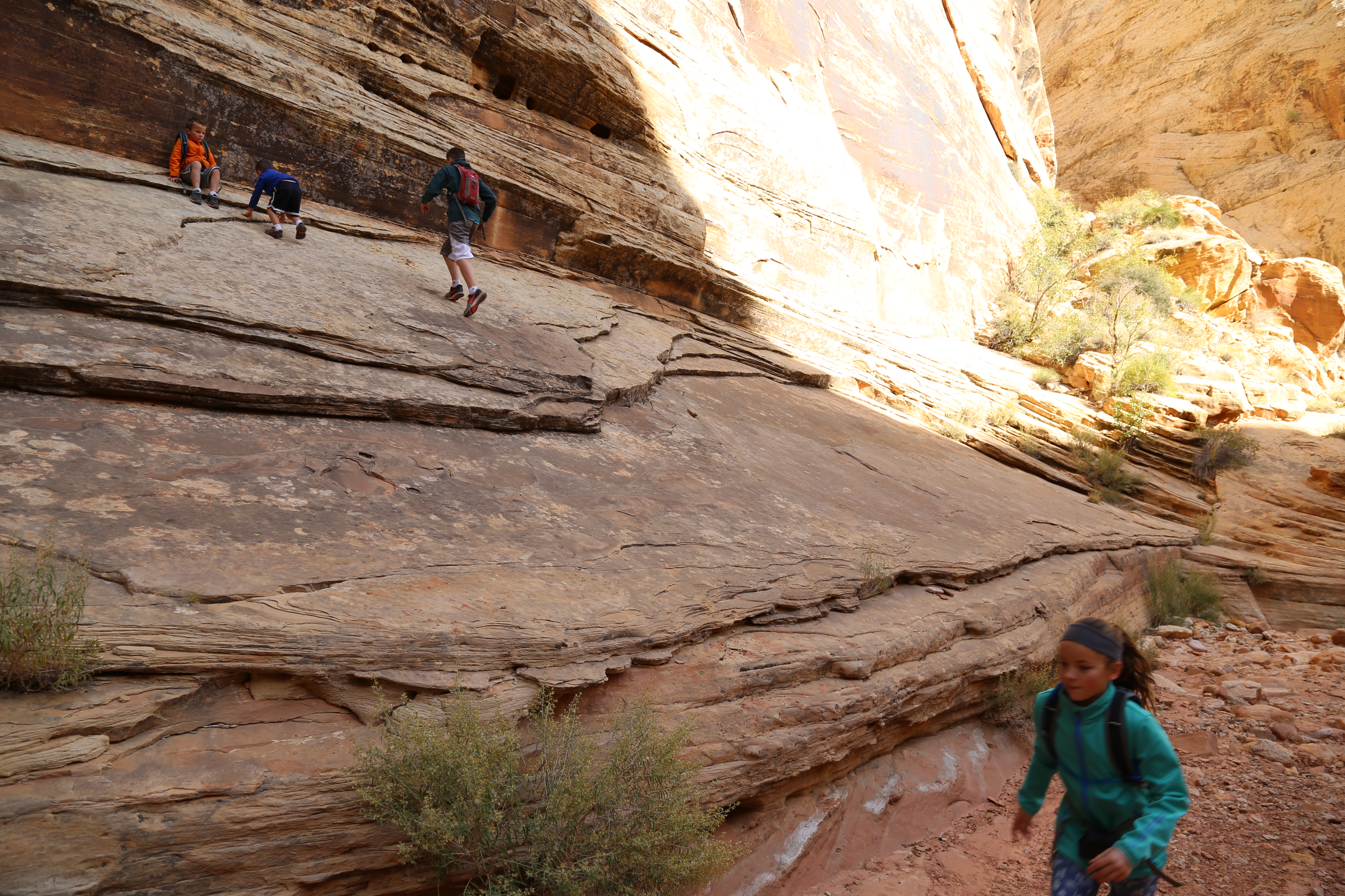 2015 Fall Break - Day 2 - Capitol Reef National Park (Grand Wash Narrows, Capitol Gorge (Petroglyphs, Narrows, Pioneer Register), Waterpocket Fold Drive (Notom-Bullfrog Road, Burr Trail Road), Hell's Backbone Grill (Boulder, Utah))