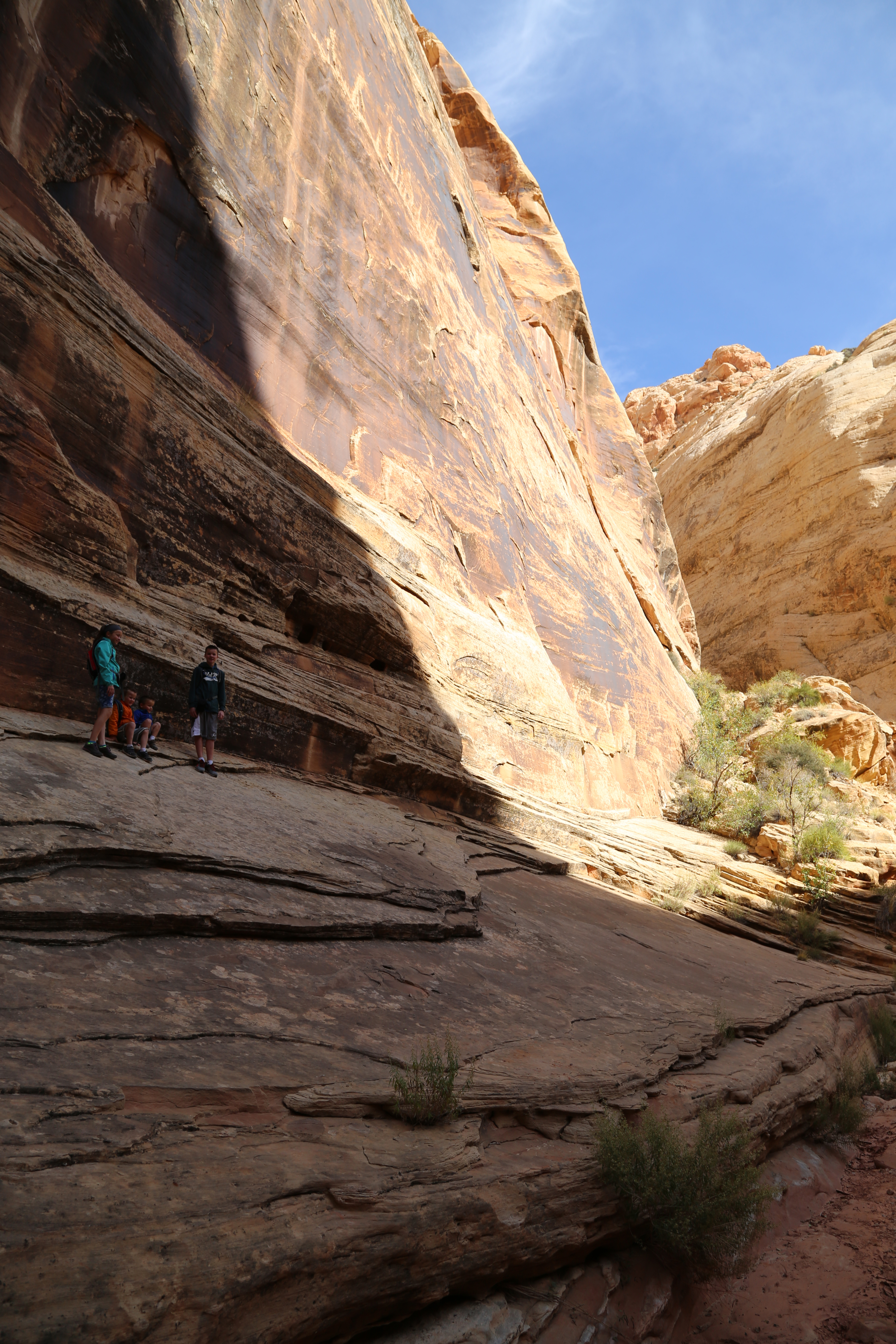 2015 Fall Break - Day 2 - Capitol Reef National Park (Grand Wash Narrows, Capitol Gorge (Petroglyphs, Narrows, Pioneer Register), Waterpocket Fold Drive (Notom-Bullfrog Road, Burr Trail Road), Hell's Backbone Grill (Boulder, Utah))