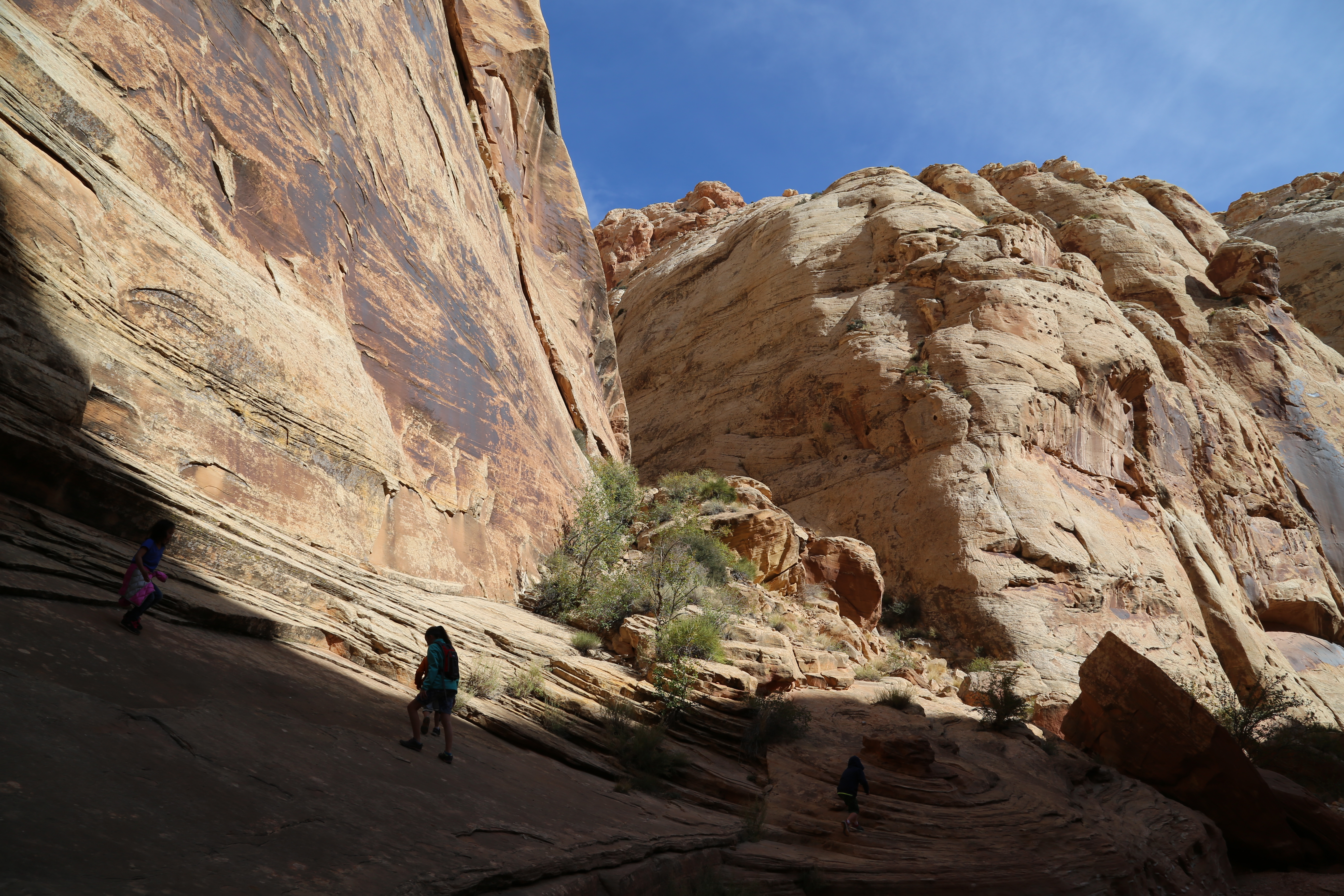 2015 Fall Break - Day 2 - Capitol Reef National Park (Grand Wash Narrows, Capitol Gorge (Petroglyphs, Narrows, Pioneer Register), Waterpocket Fold Drive (Notom-Bullfrog Road, Burr Trail Road), Hell's Backbone Grill (Boulder, Utah))