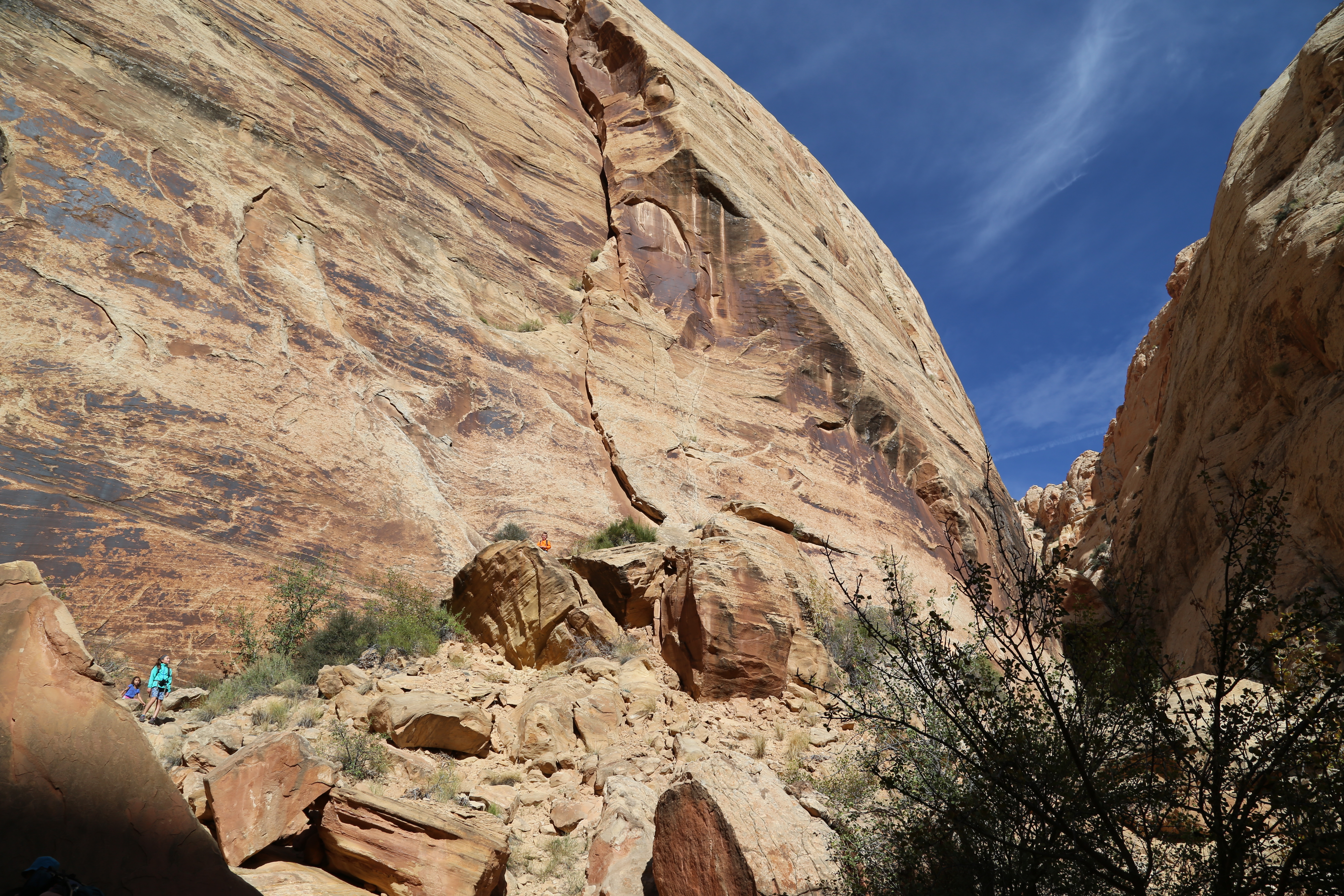 2015 Fall Break - Day 2 - Capitol Reef National Park (Grand Wash Narrows, Capitol Gorge (Petroglyphs, Narrows, Pioneer Register), Waterpocket Fold Drive (Notom-Bullfrog Road, Burr Trail Road), Hell's Backbone Grill (Boulder, Utah))